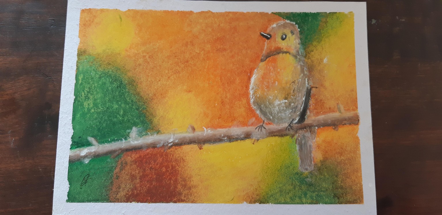 Drawing a Realistic Bird With Oil Pastels - image 1 - student project