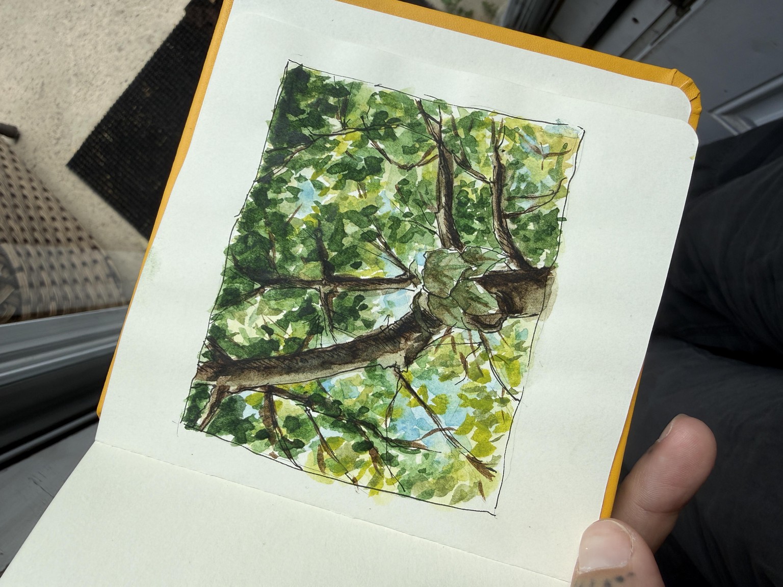 Urban tree sketch with wash - image 1 - student project
