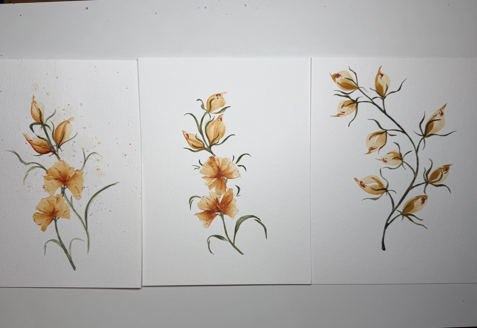 Petals - image 1 - student project