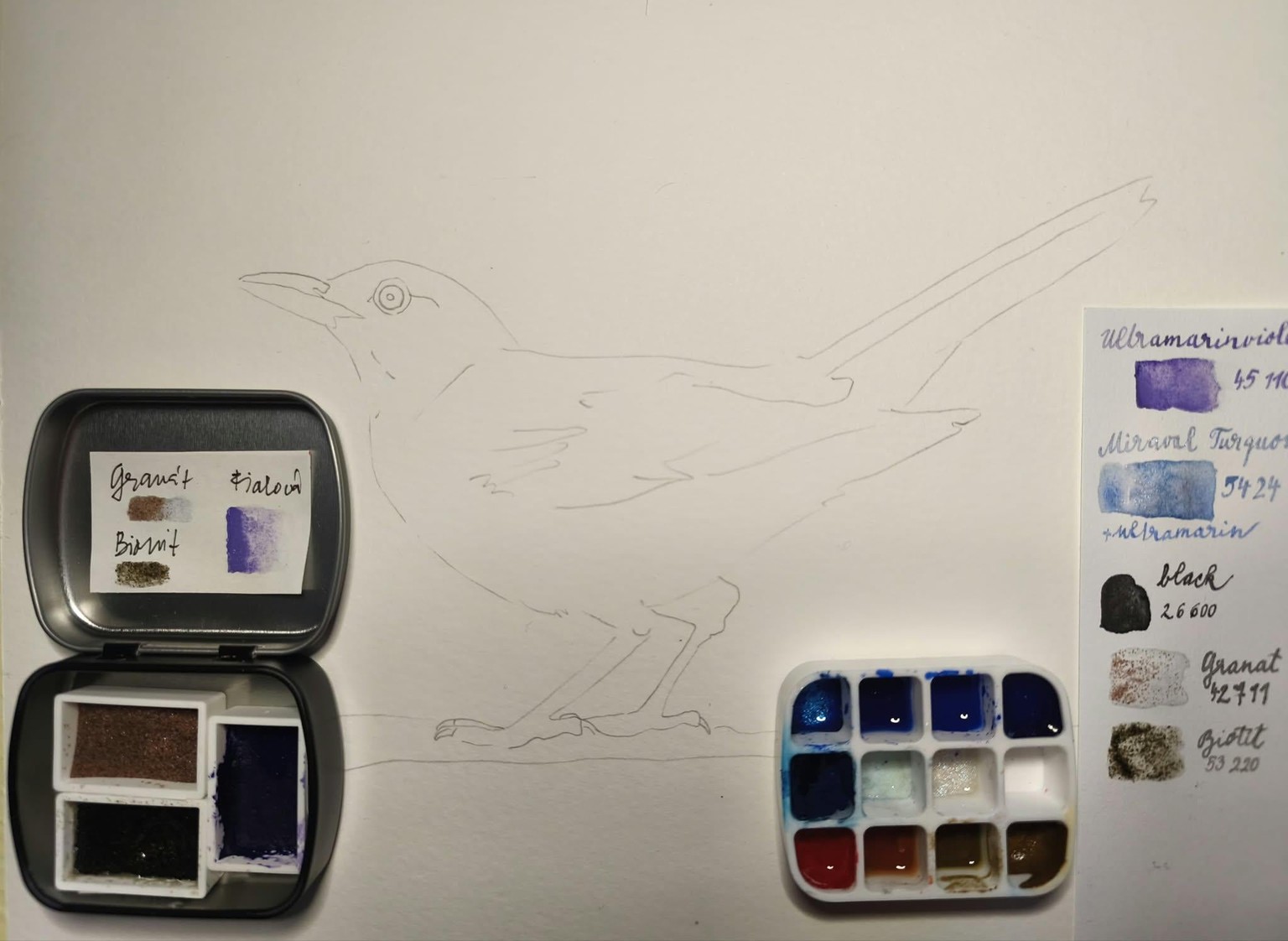 Blackbird - image 2 - student project