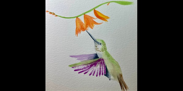 Colibri en acuarela - image 1 - student project