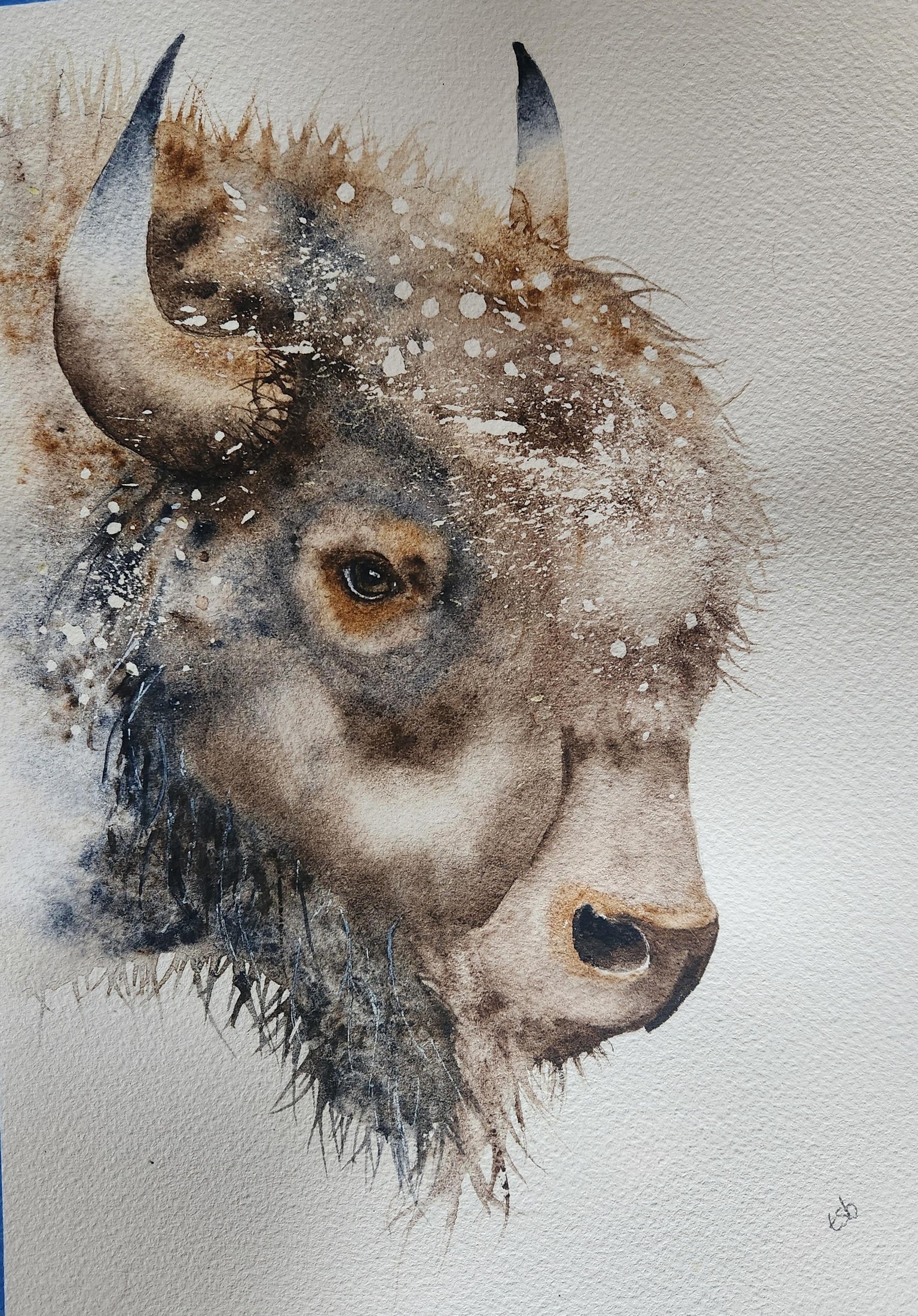 Buford the Bison - image 2 - student project