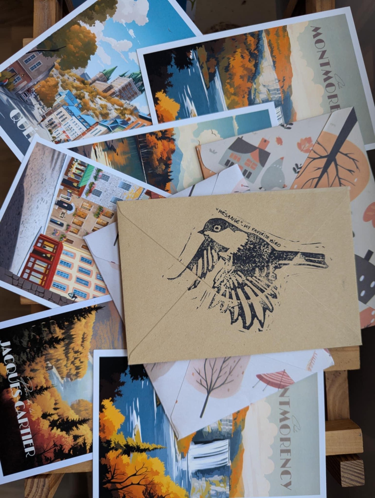 Hello, chickadees! - image 3 - student project