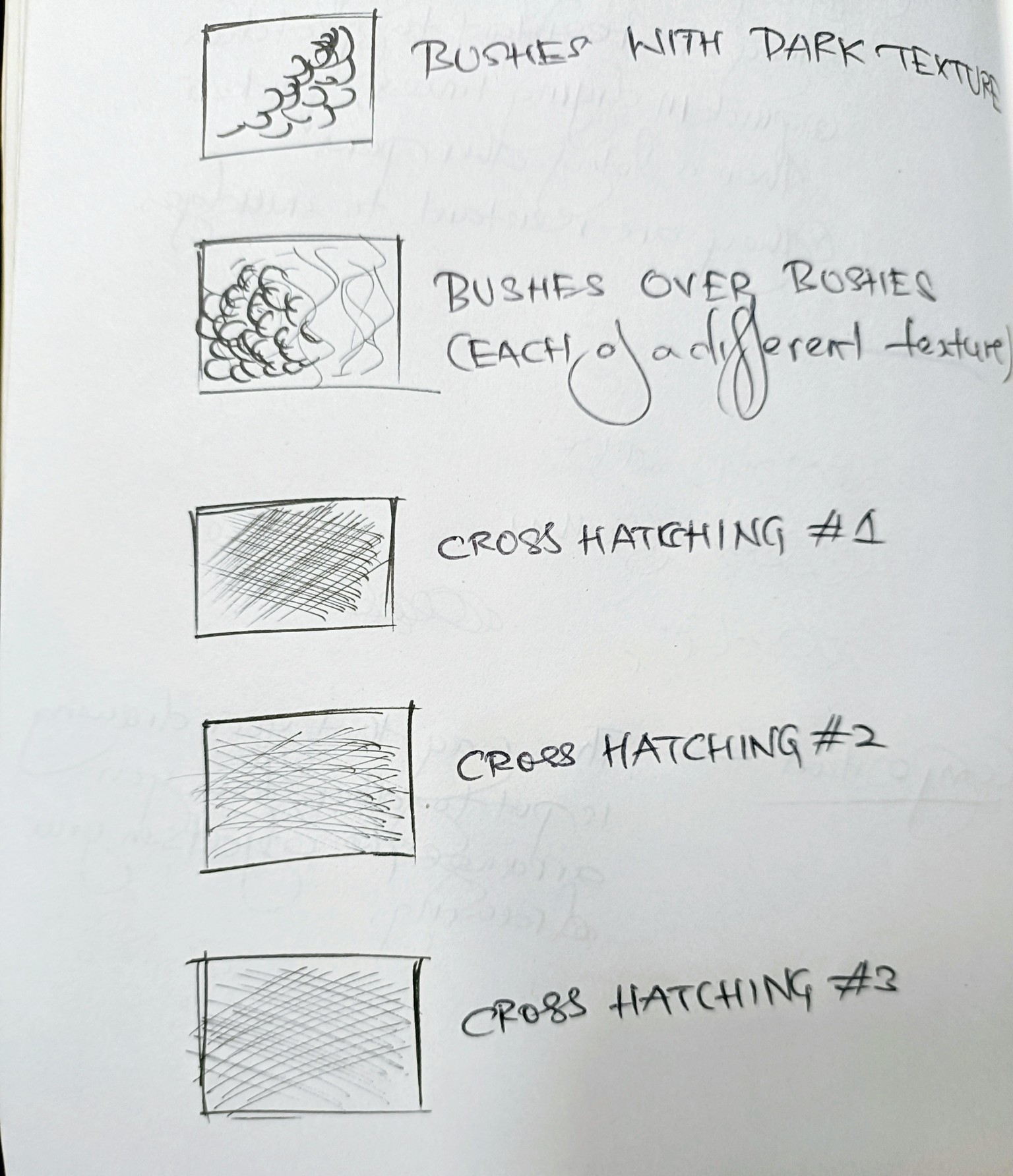 Pen Drawing for Beginners - A Textured Tree - image 5 - student project