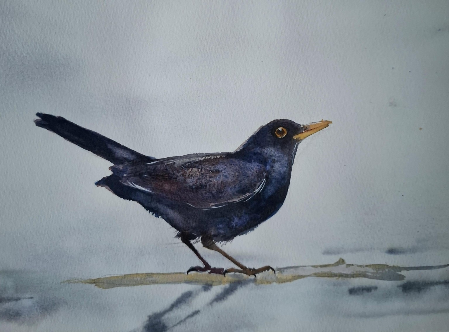 Black bird - image 1 - student project