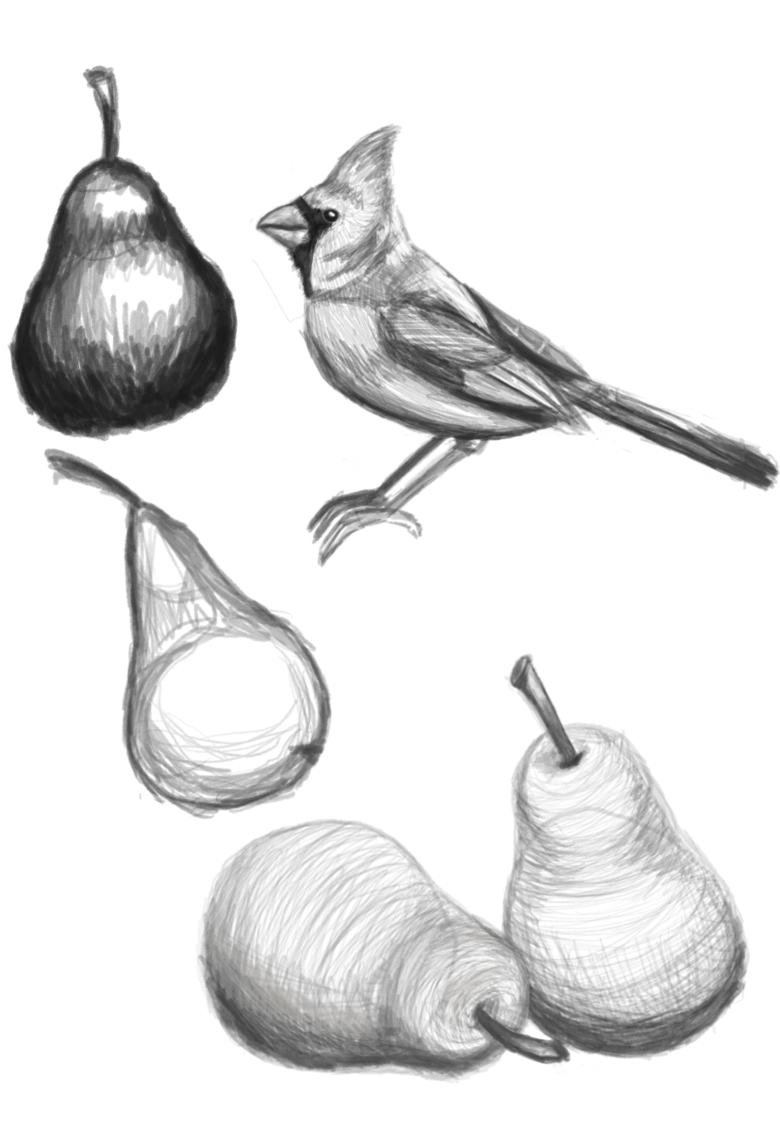 Gesture Drawing - image 1 - student project