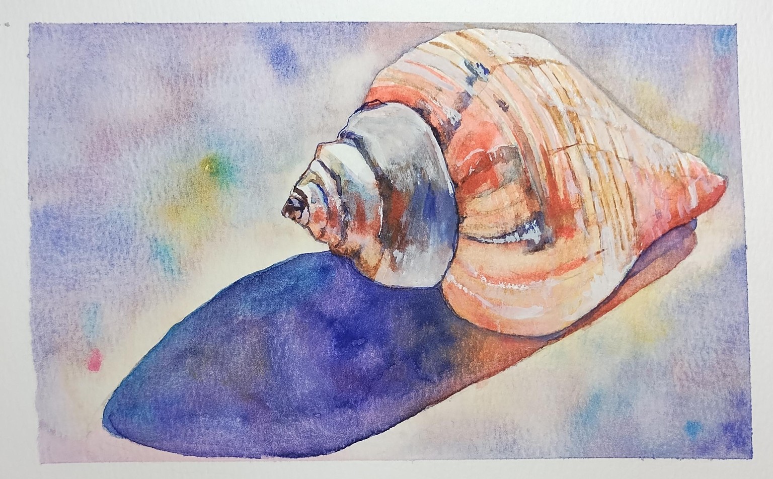 Shell 2X . - image 2 - student project