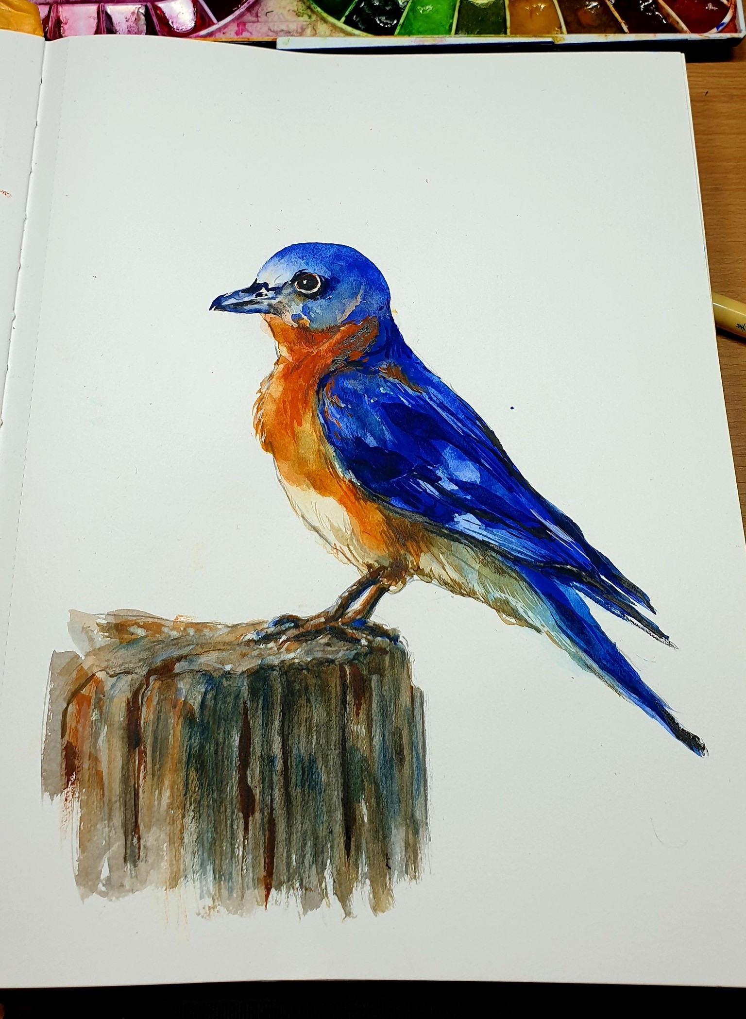 Is it a bird? - image 2 - student project