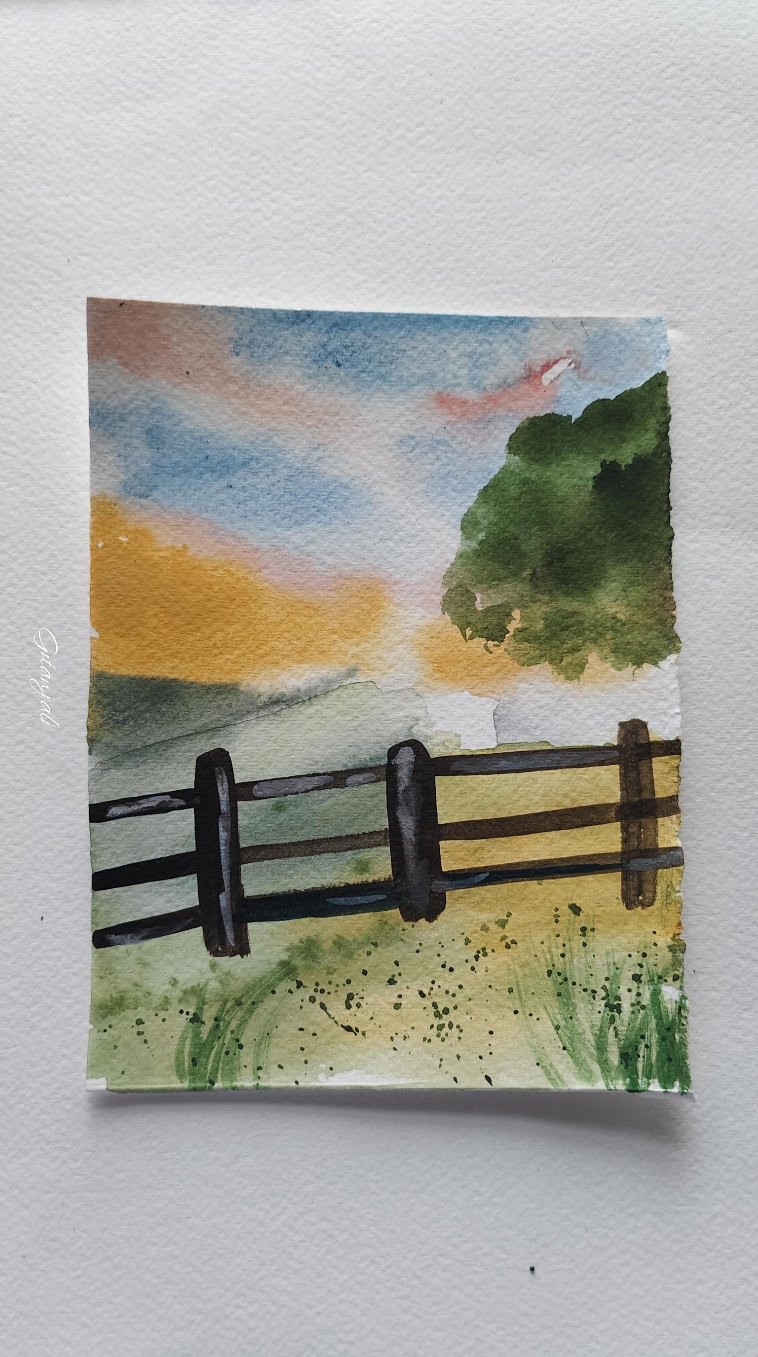 Nature - image 7 - student project