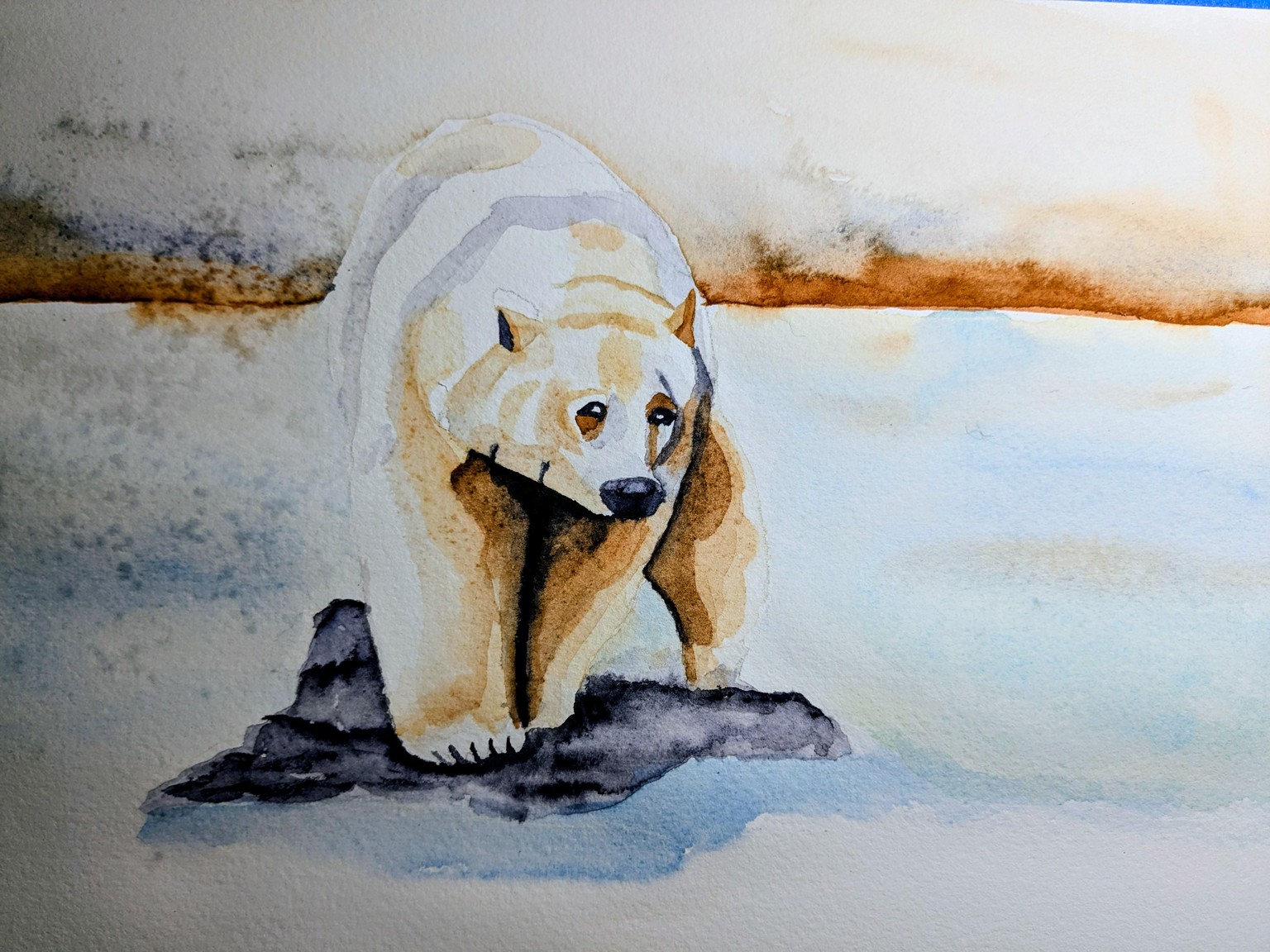 Spirit Bear - image 2 - student project