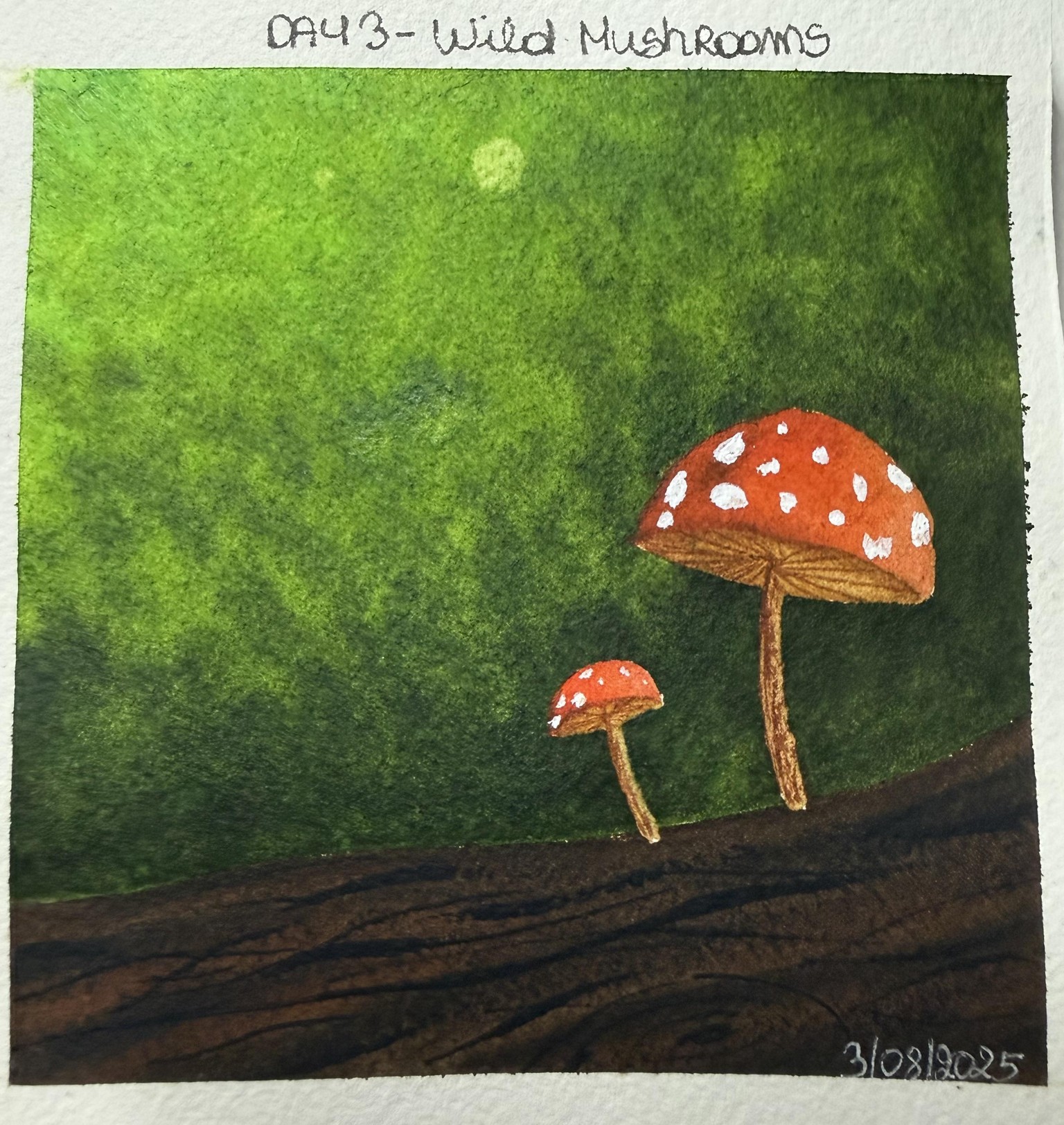 15 days of 15 minute watercolor - image 3 - student project