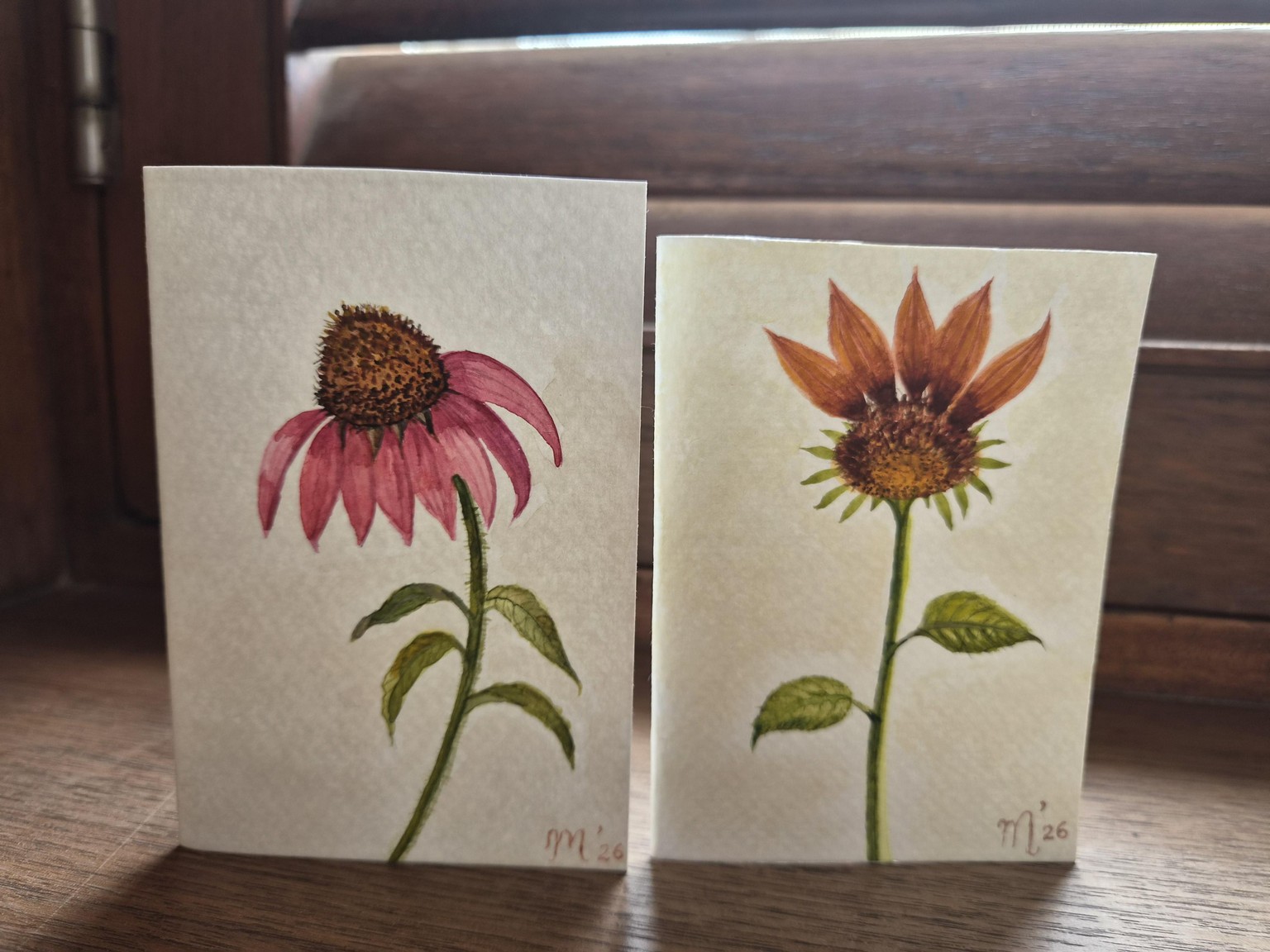 Whispers of Coneflowers - image 1 - student project