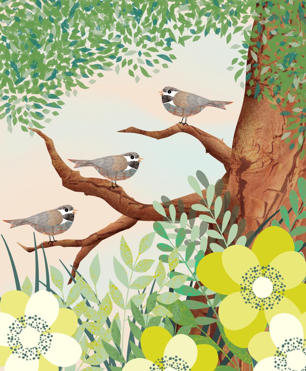The Pen, Pencil & Shape Tools in Affinity Designer for iPad V1 | Create Textured Birds & Birdhouses - image 1 - student project