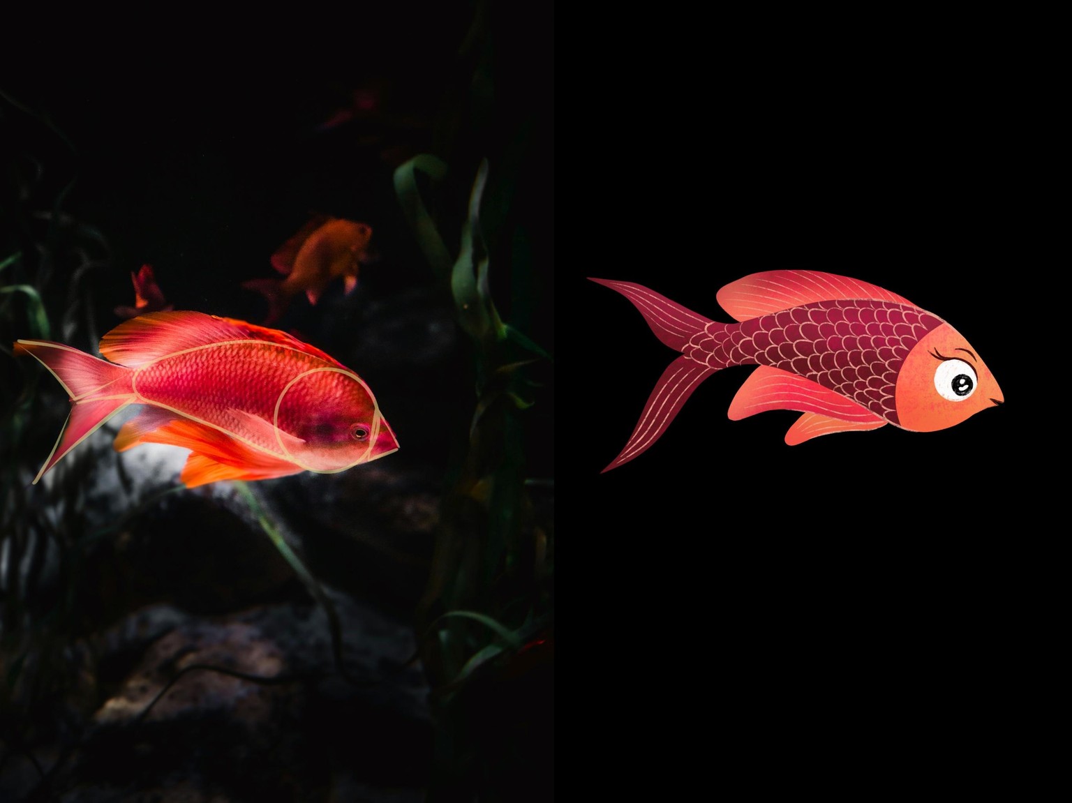 Illustrated Animals - image 2 - student project