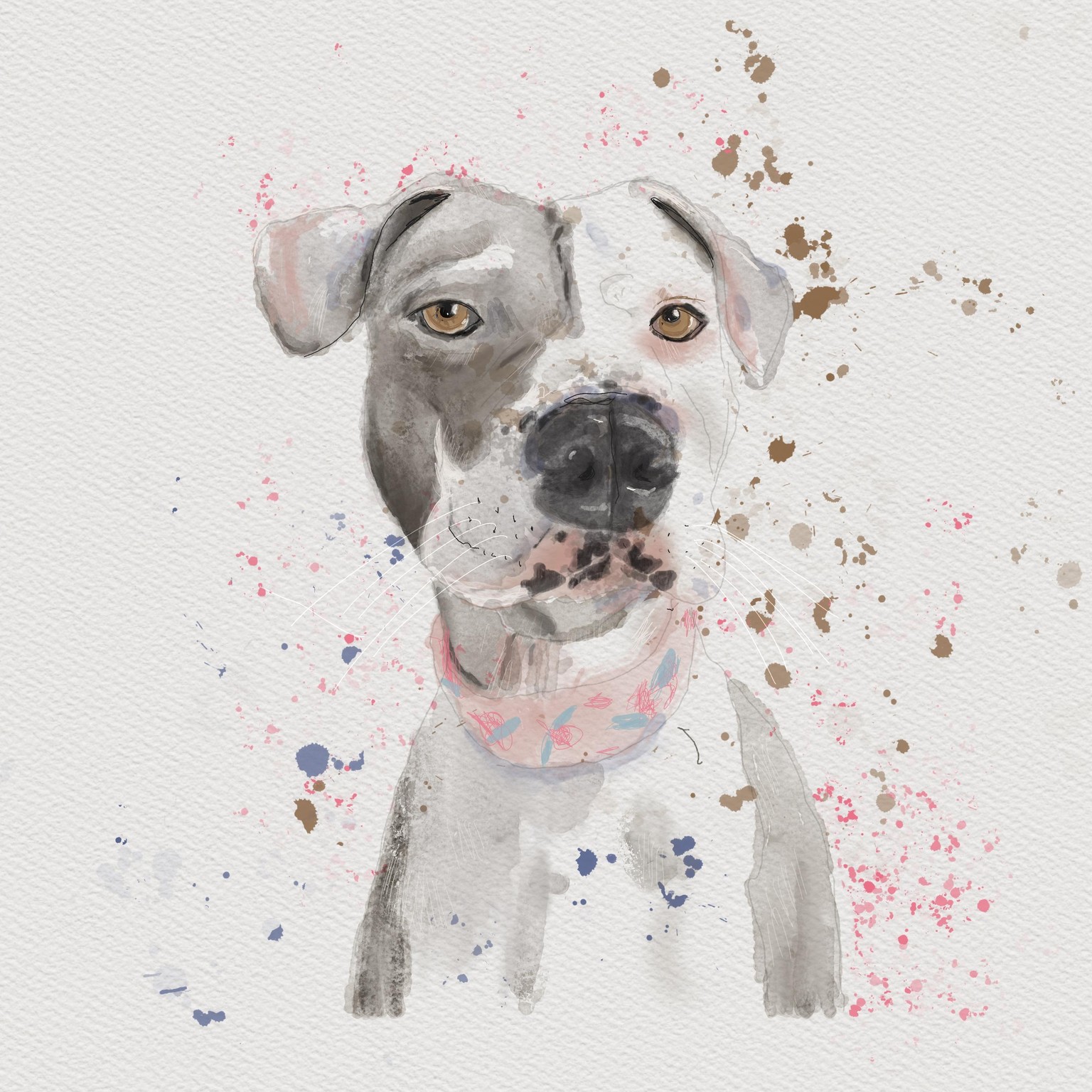 Tillie - image 1 - student project
