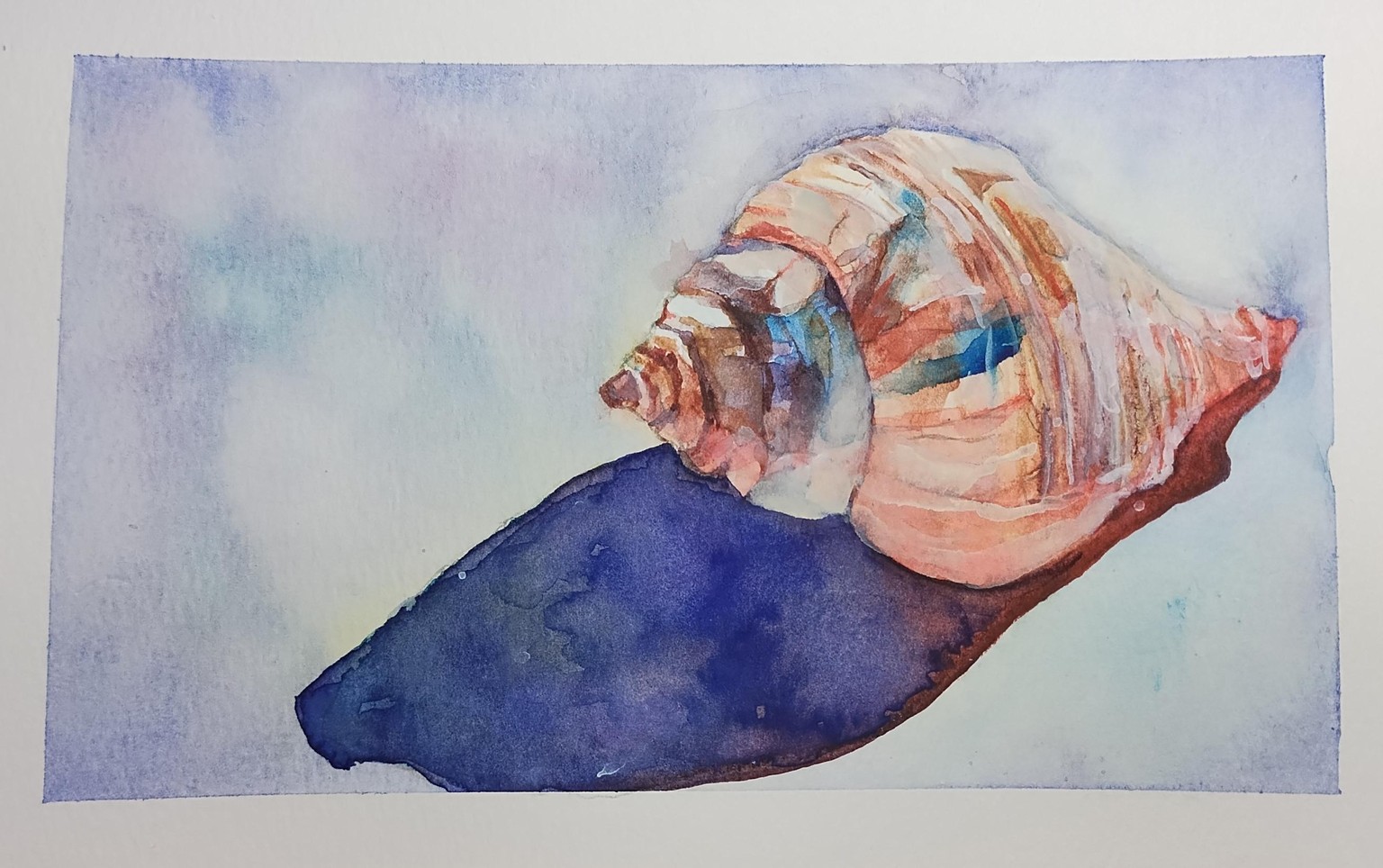 Shell 2X . - image 1 - student project