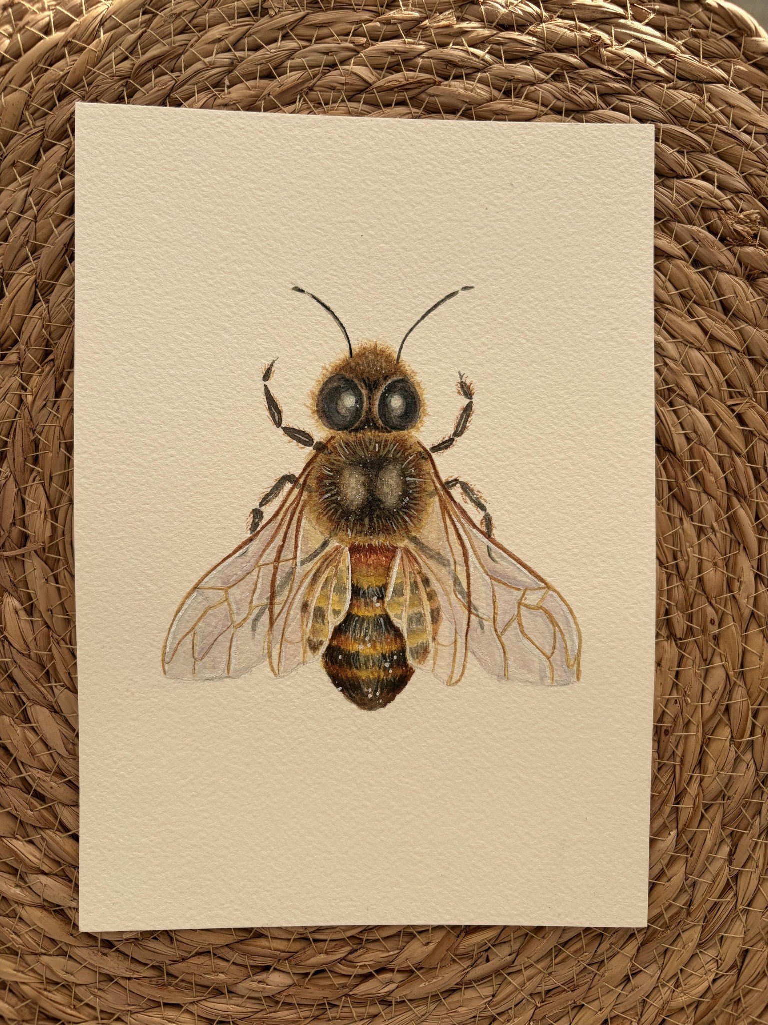 My honeybee! - image 1 - student project