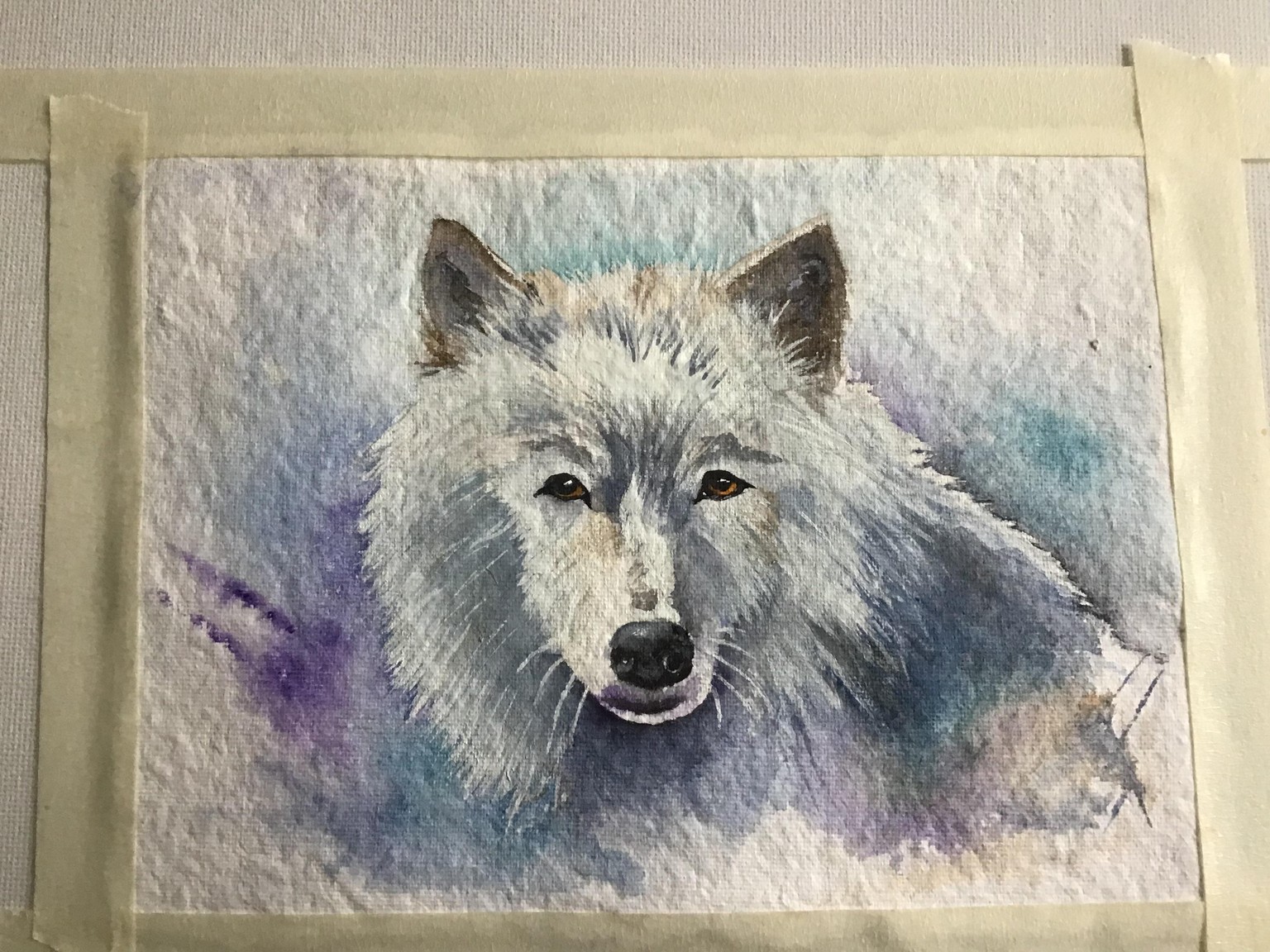 White Wolf - image 1 - student project