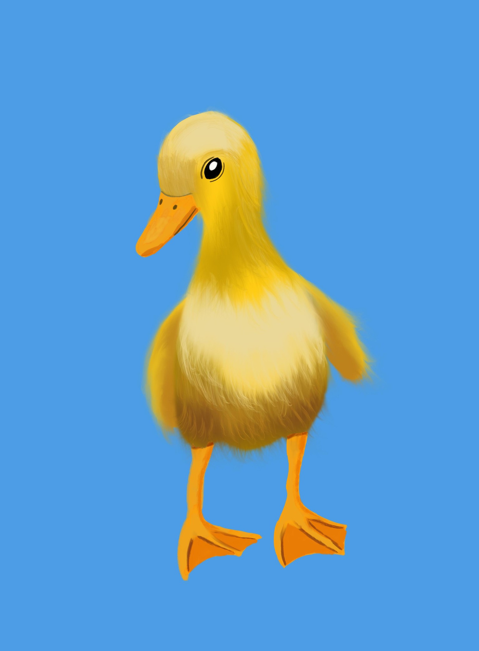 How to Draw Fur in Procreate Project - image 3 - student project