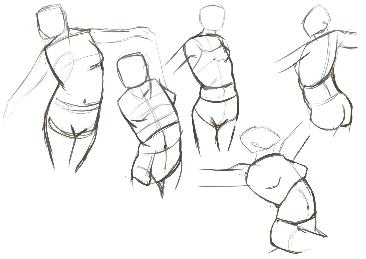 Good! Drawing The Torso - image 2 - student project