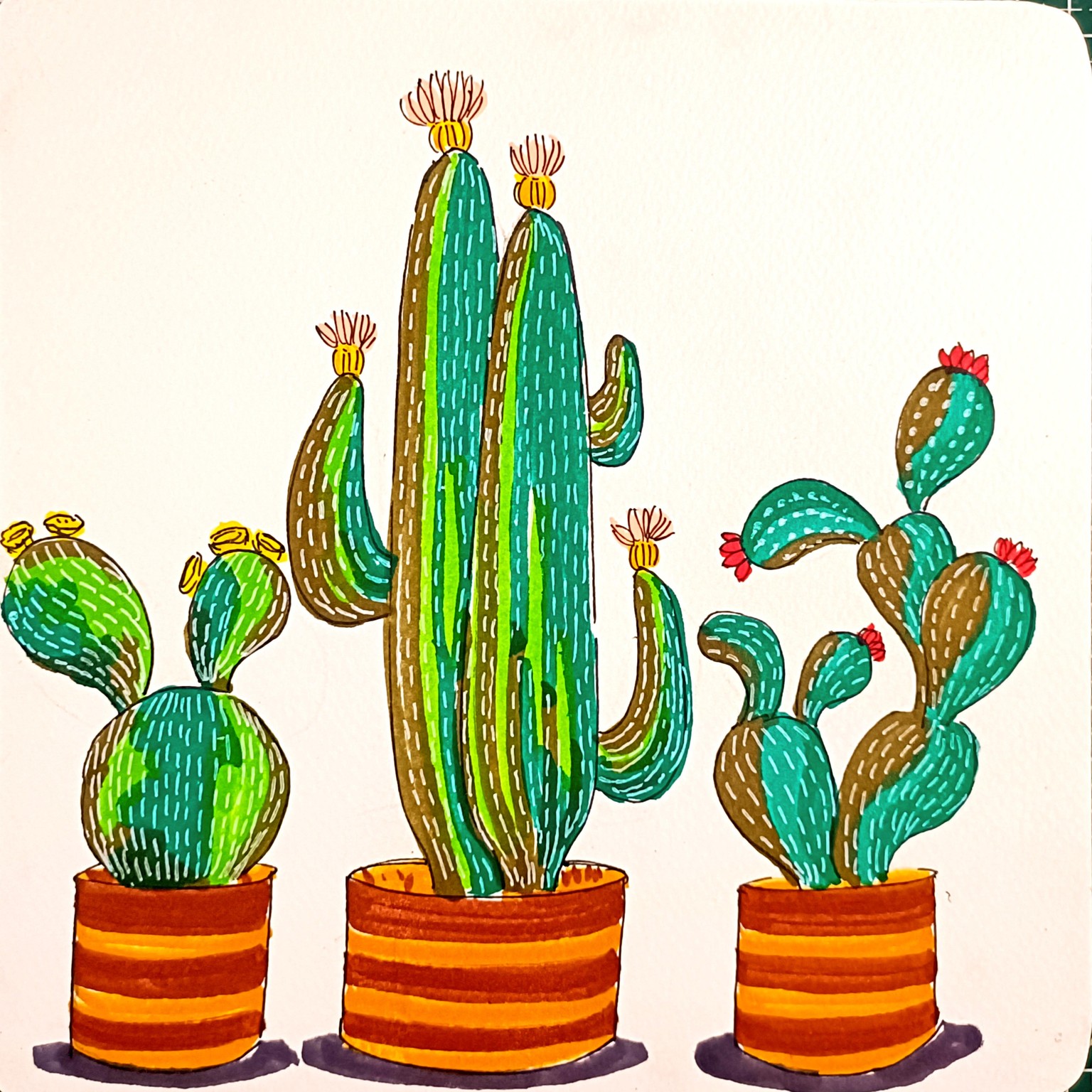 Mini Cactus 🌵 - image 3 - student project