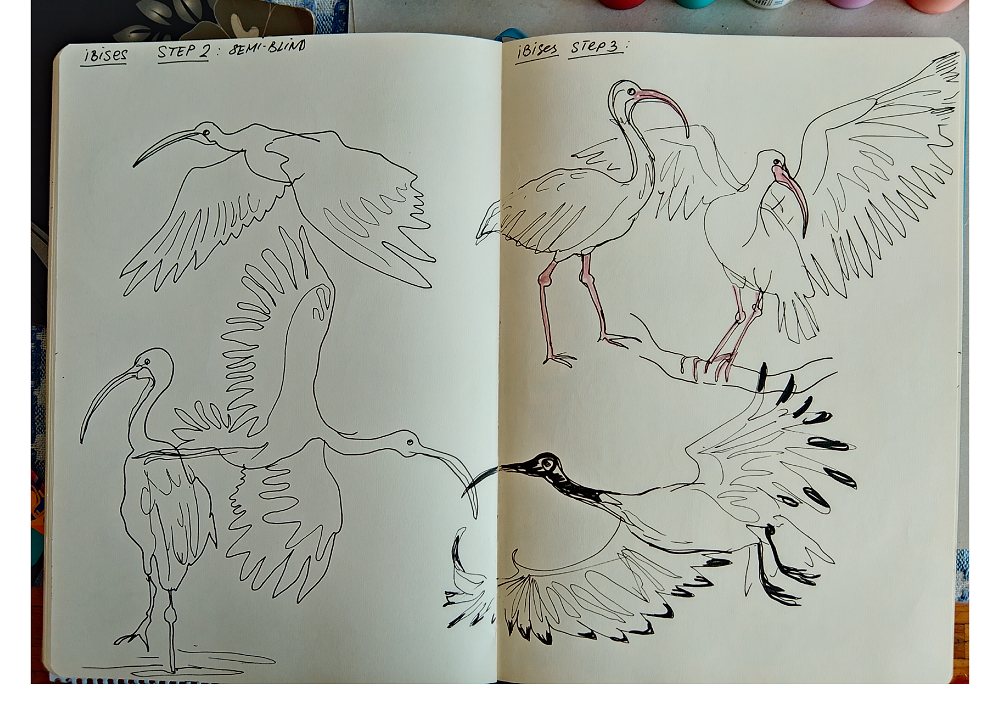 Line Drawing: A Three-Step Approach - image 5 - student project