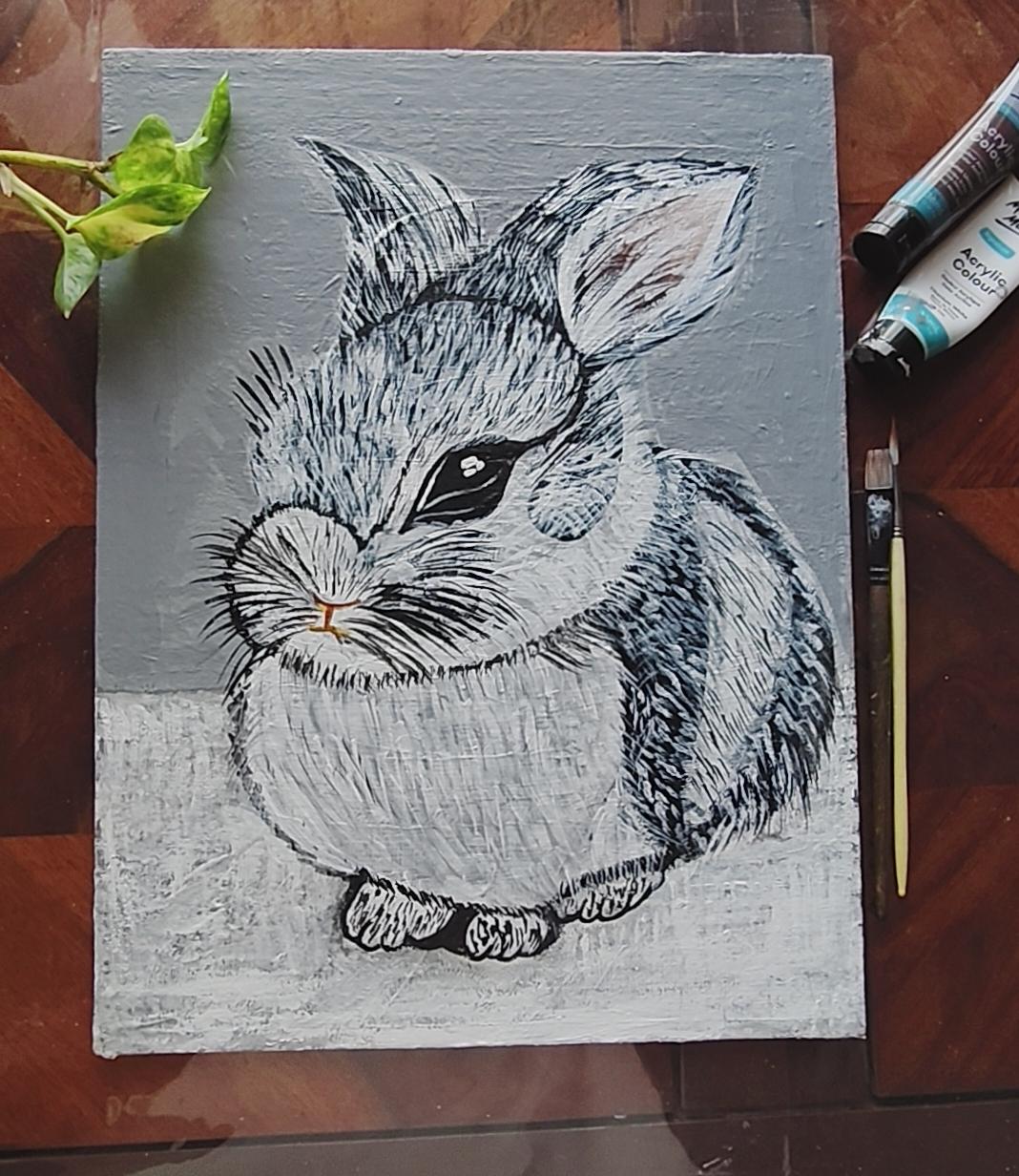 Peter rabbit🐇 - image 7 - student project