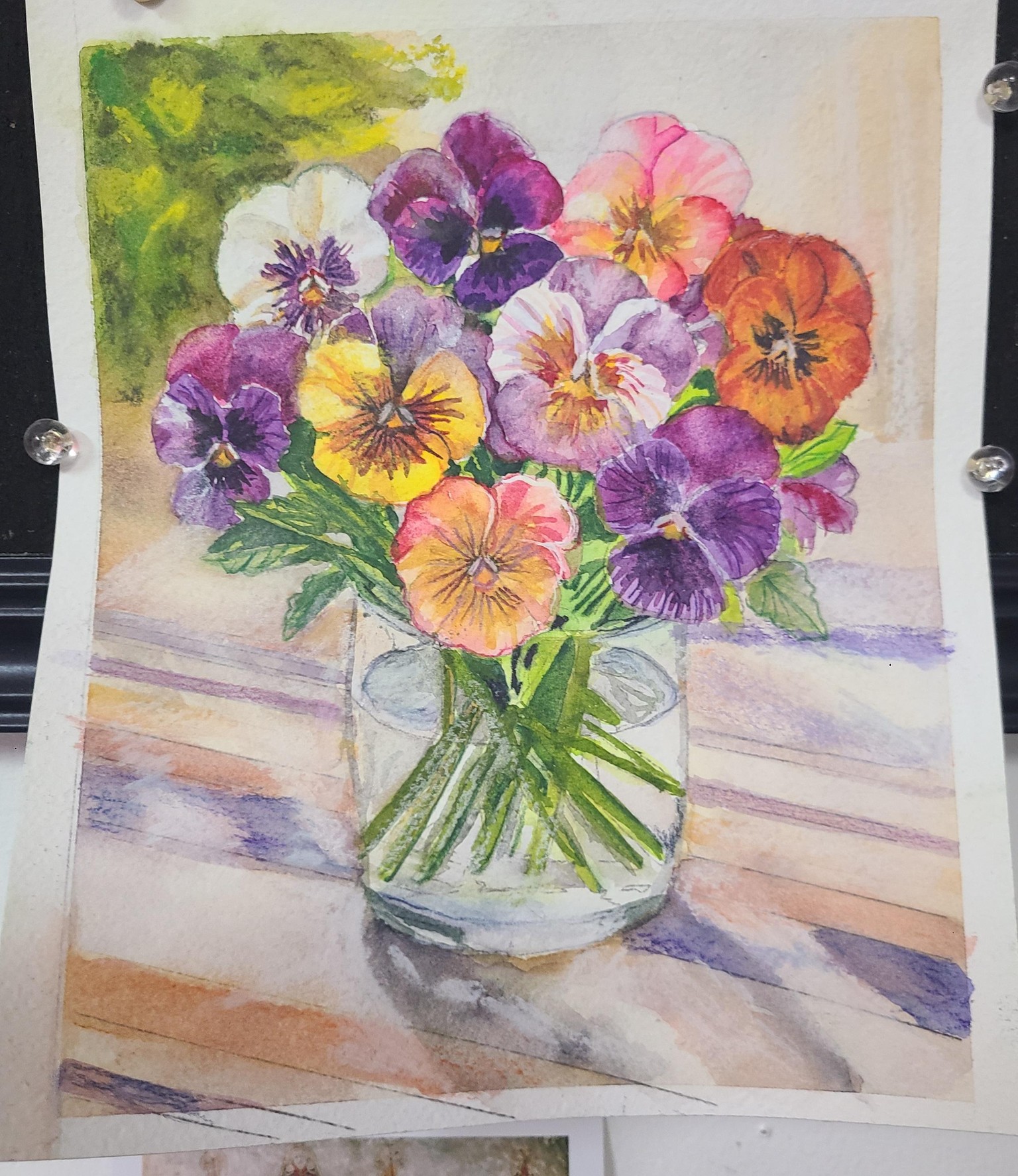 Pansies in lovely light - image 1 - student project