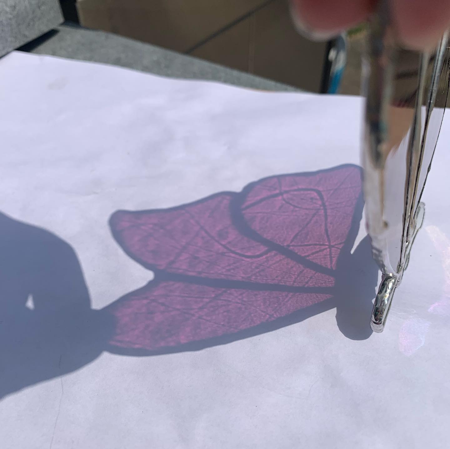 Stained Glass Butterfly & Pet Portrait - image 3 - student project