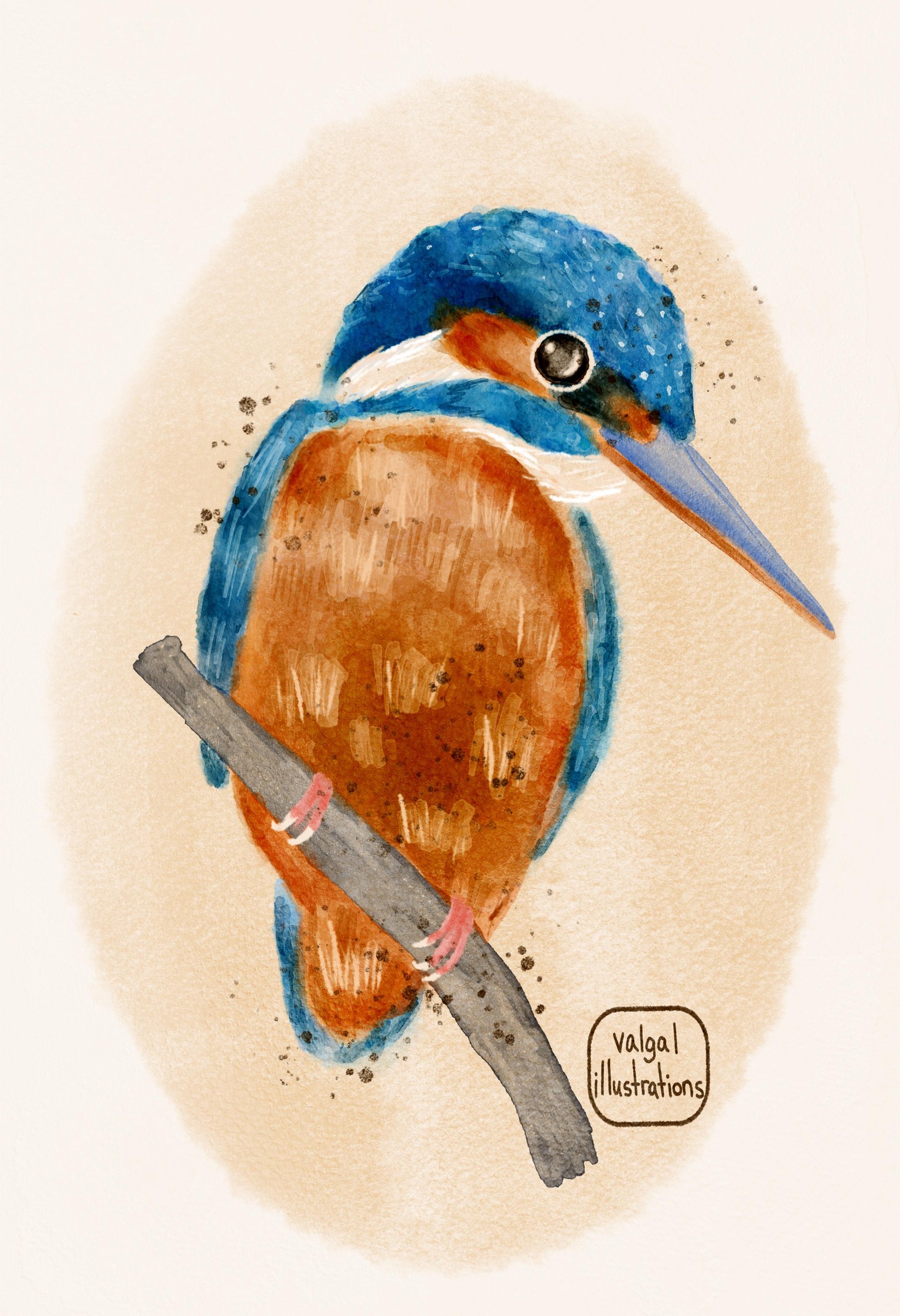 Kingfisher Watercolor - image 1 - student project
