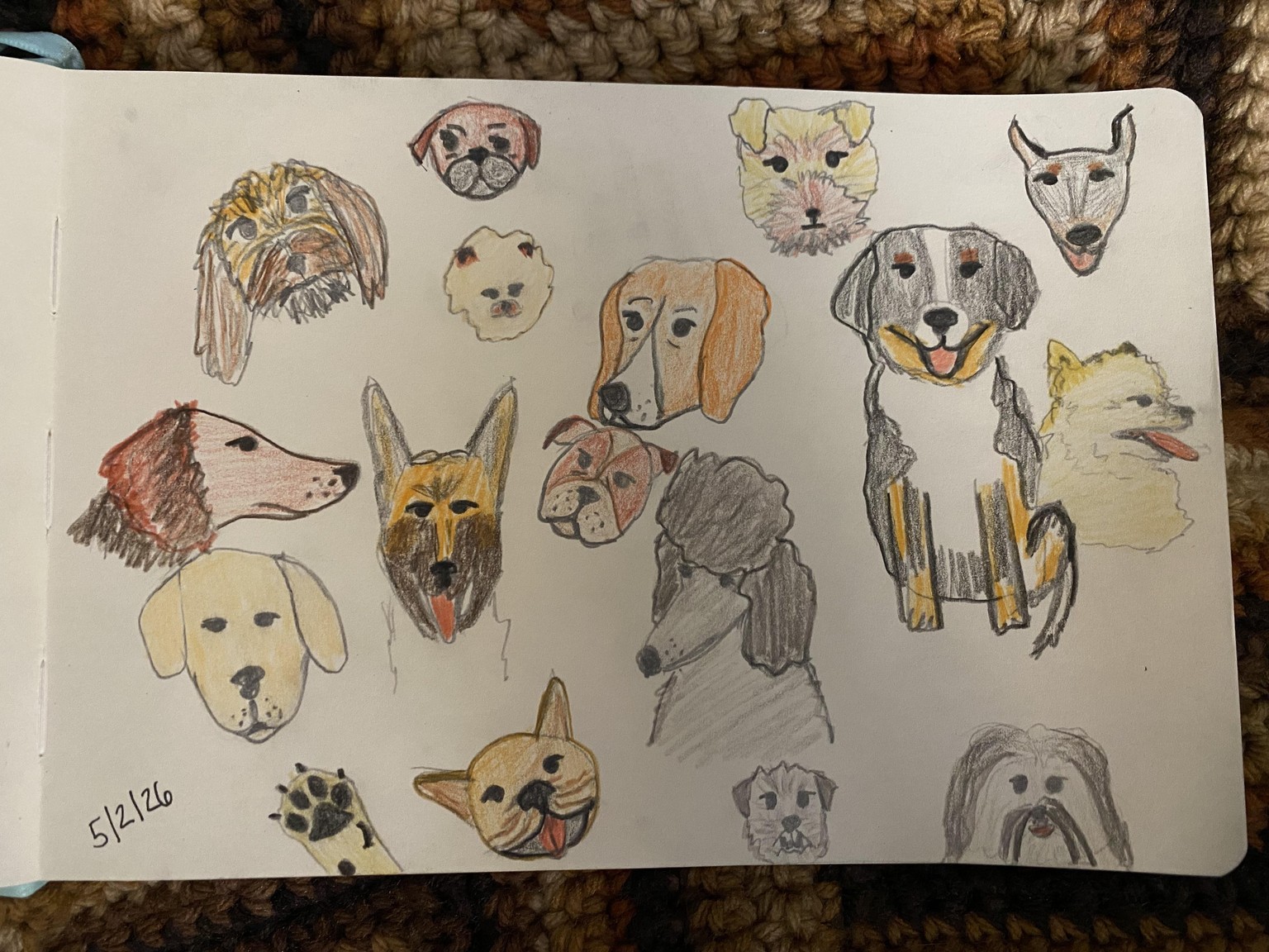 Adorable dog doodles! - image 1 - student project