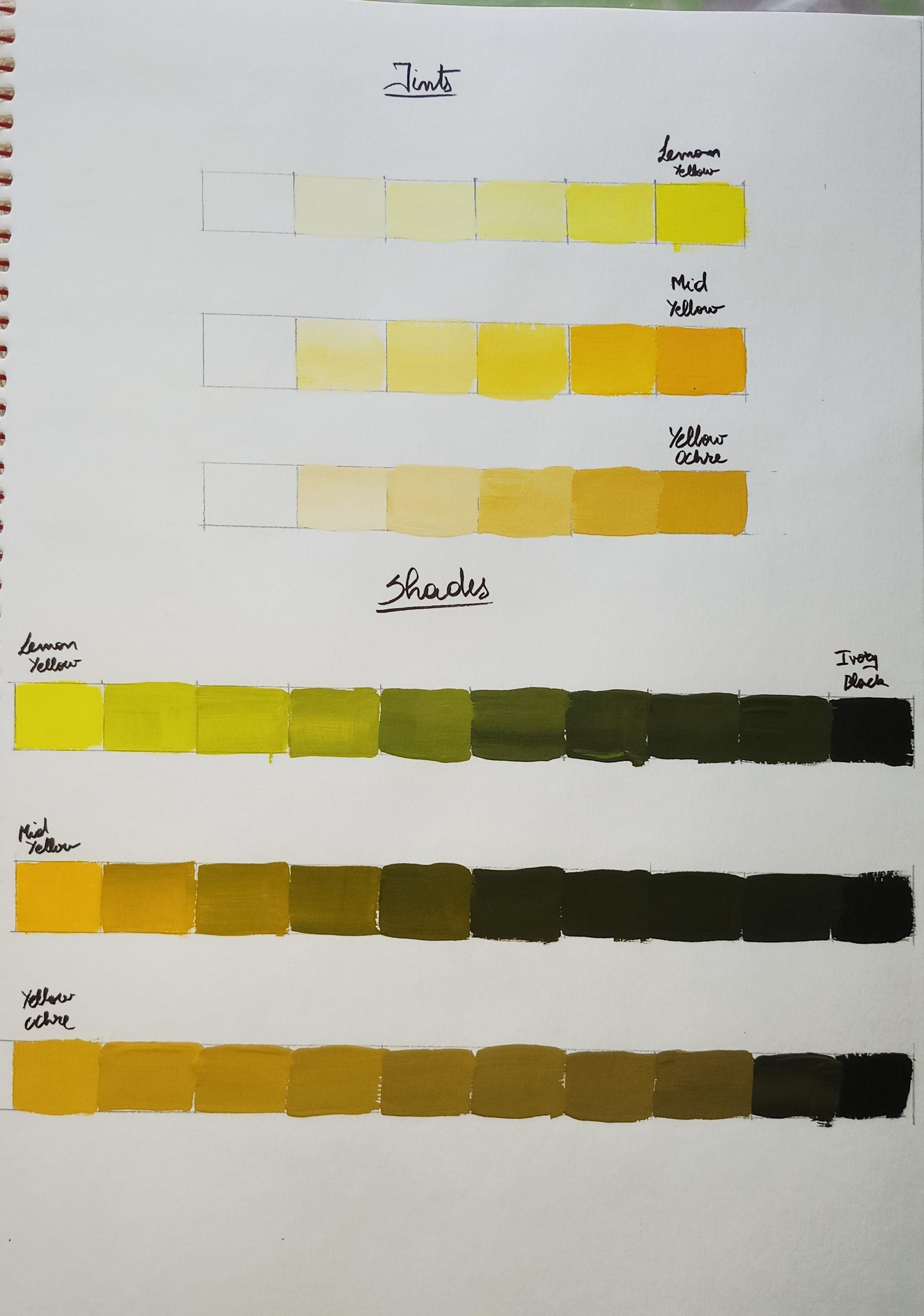 Color Collector - image 3 - student project