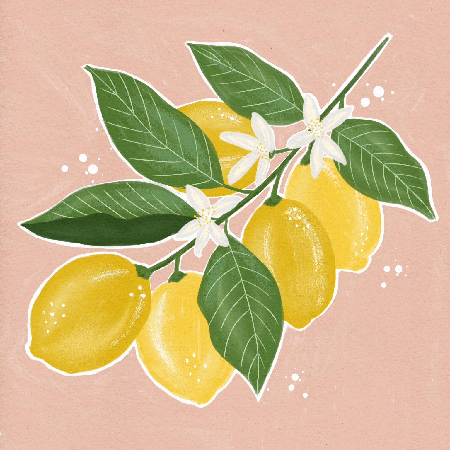 Lovely Lemon Study - image 1 - student project