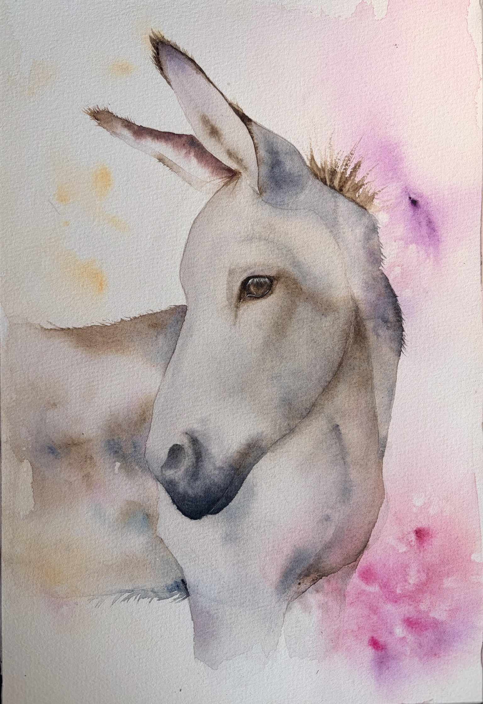 Donkey - image 1 - student project