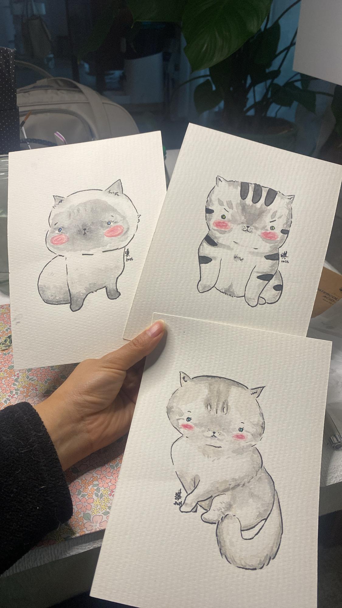 Cuties cat version - image 2 - student project