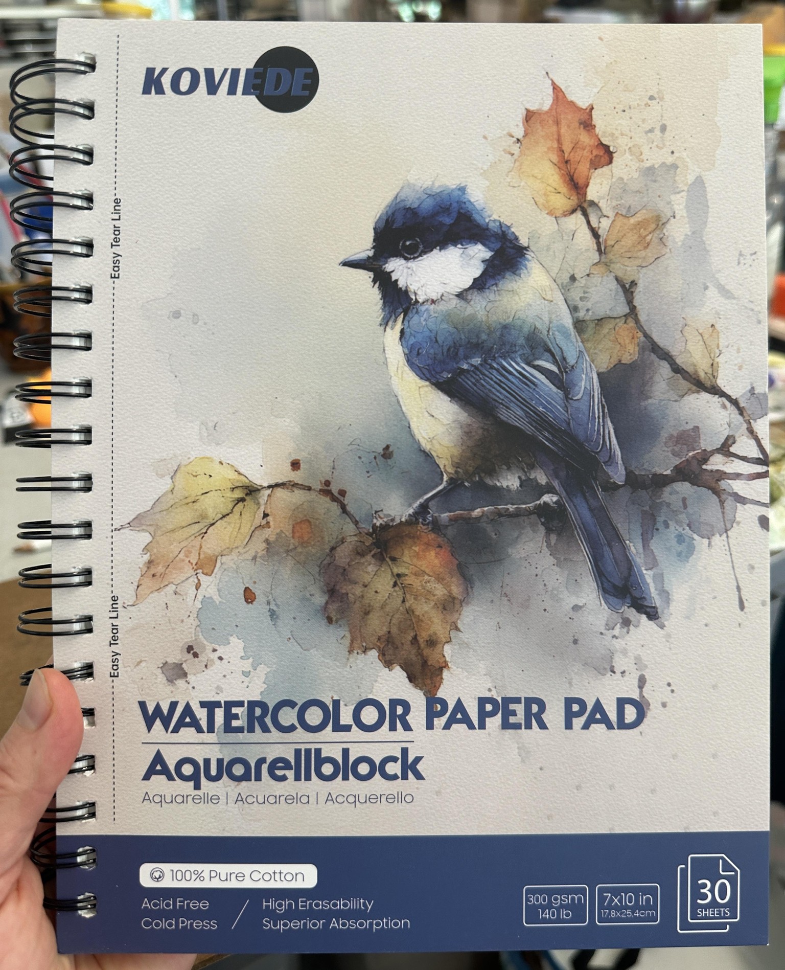 Watercolor BlueBird - image 4 - student project