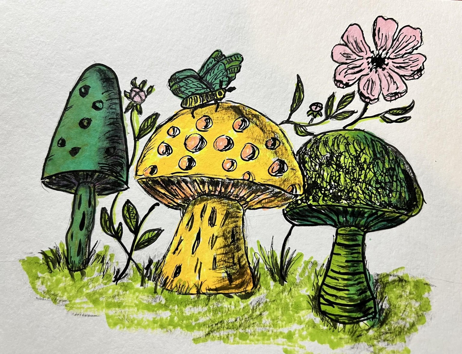 Mushrooms ink and alcohol markers - image 1 - student project
