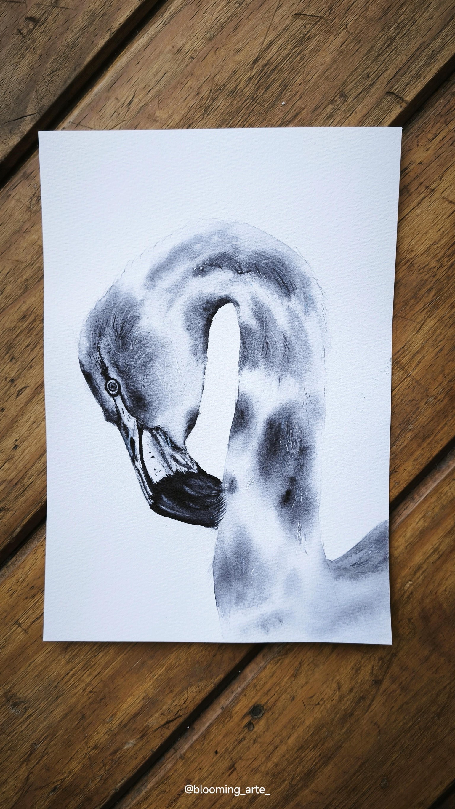 Monochrome Watercolor Birds - image 7 - student project