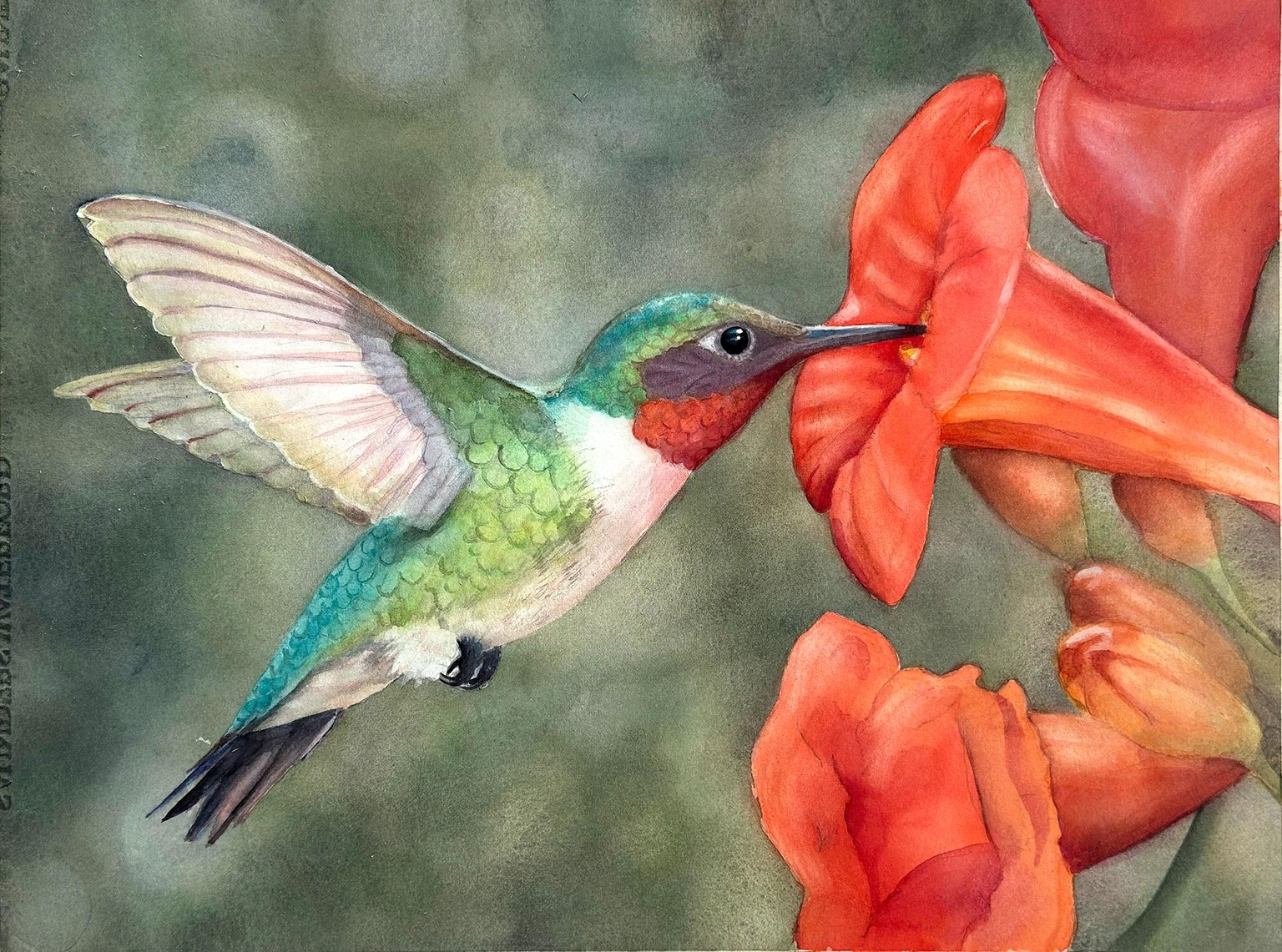 Hummingbird - image 1 - student project