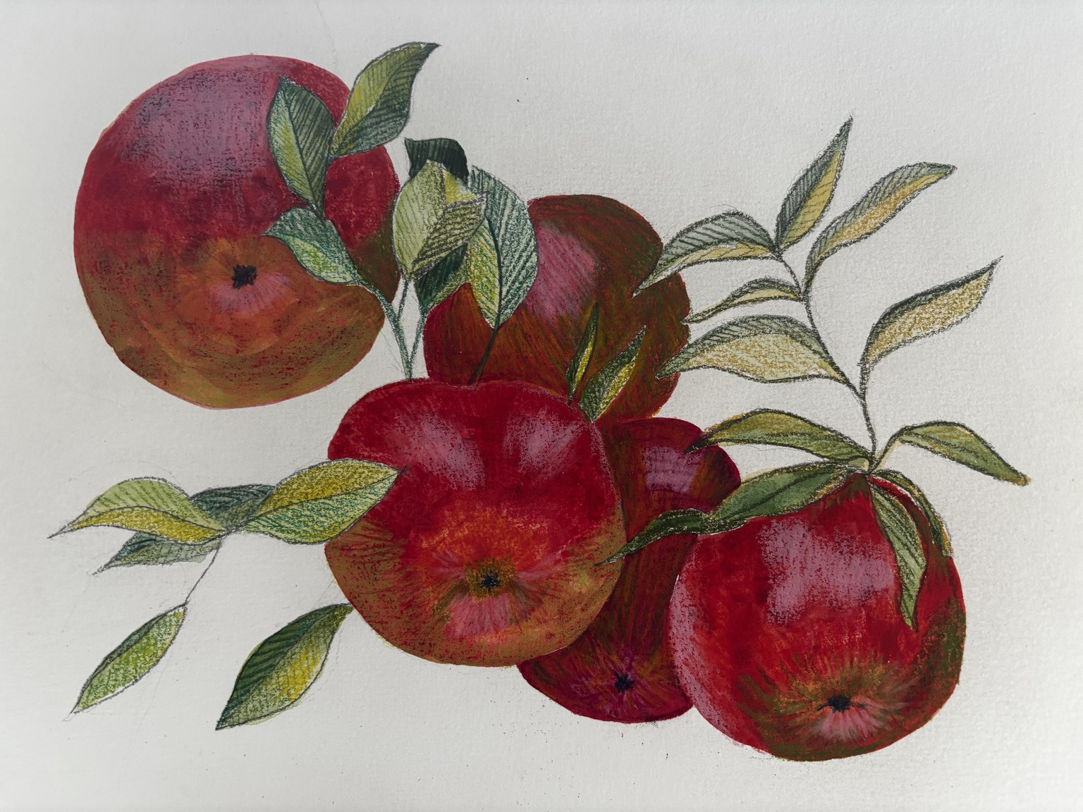 Mixed media apples - image 1 - student project