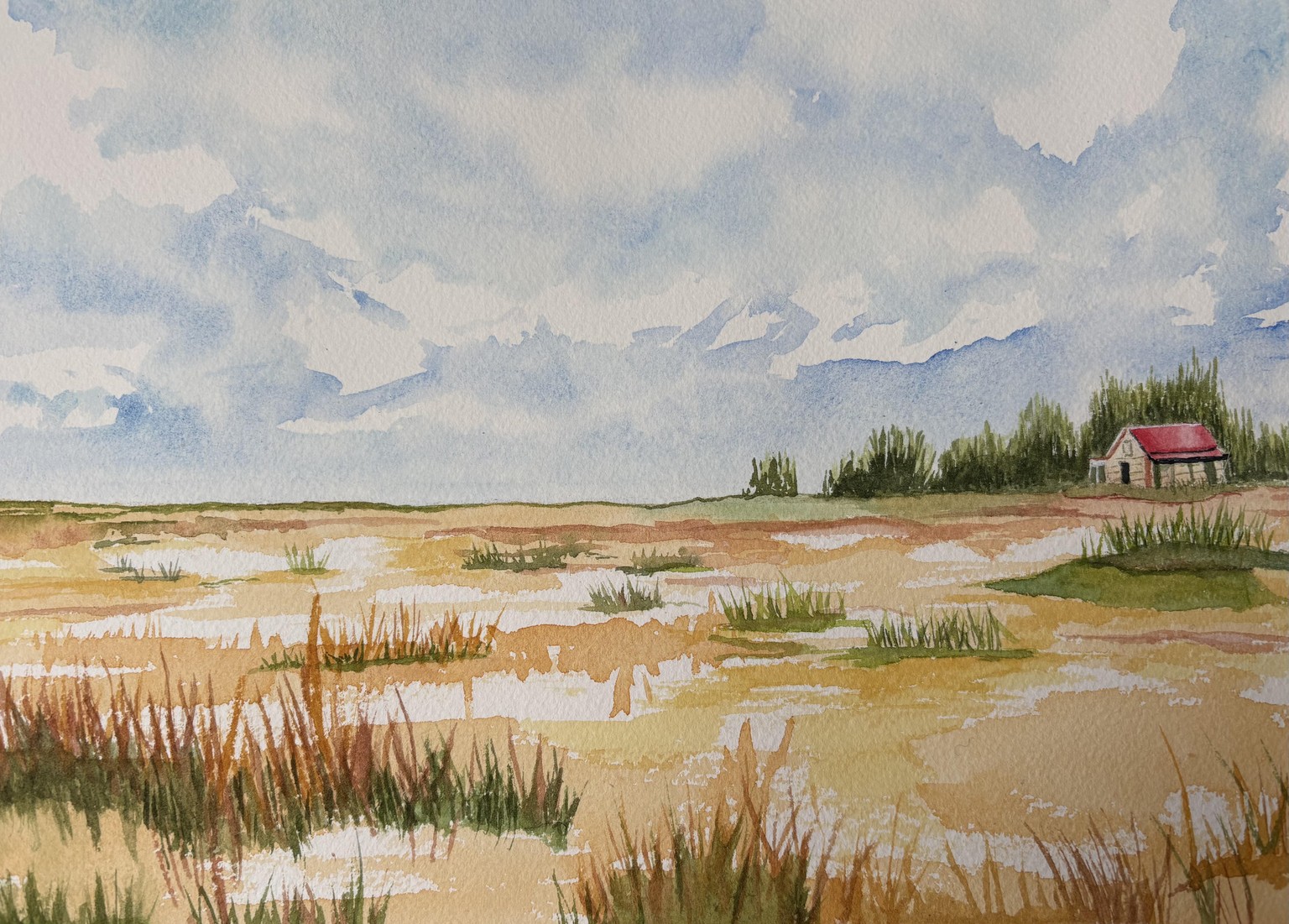 Prairie Scene - image 1 - student project