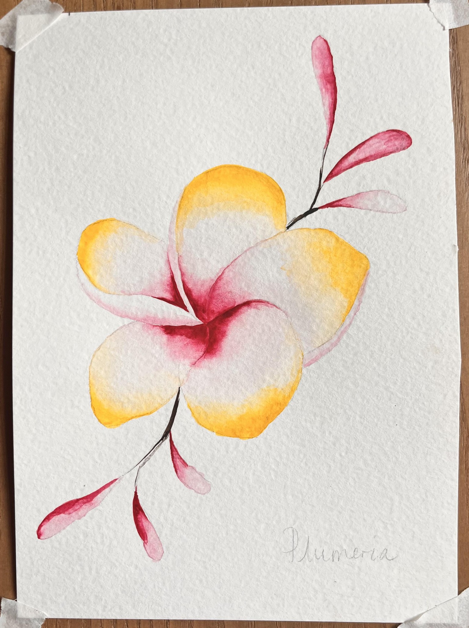 Tropical Plants and Flowers - image 3 - student project