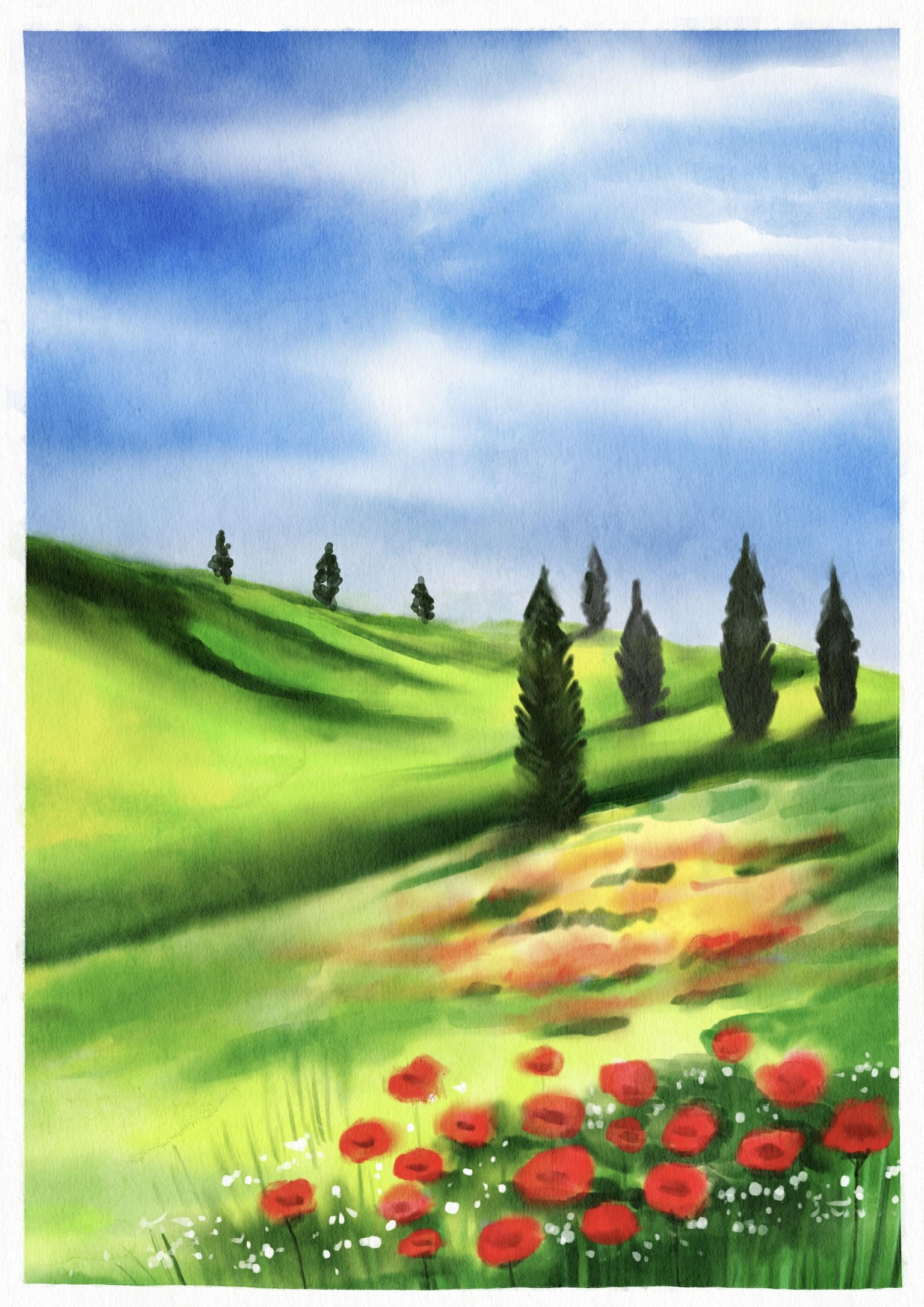 Red poppies - image 1 - student project