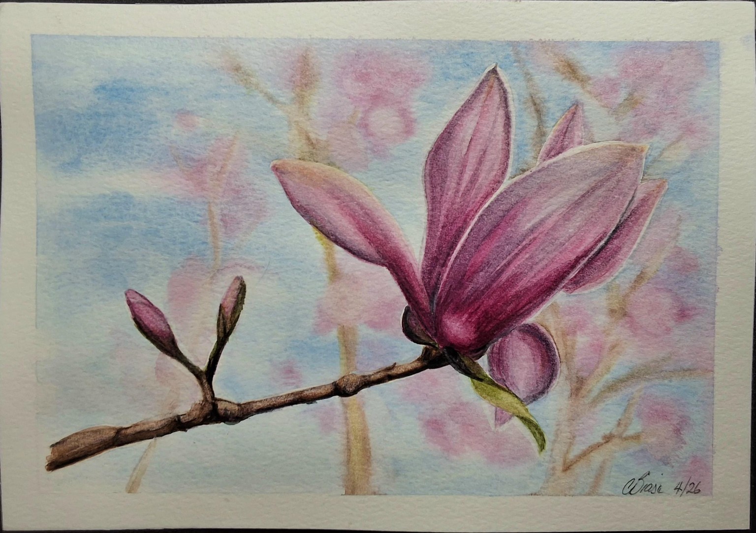 Magnolia bloom in watercolour - image 1 - student project