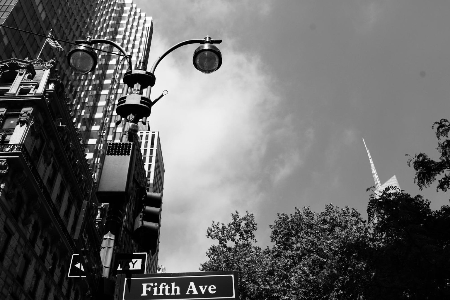 black and white - image 1 - student project