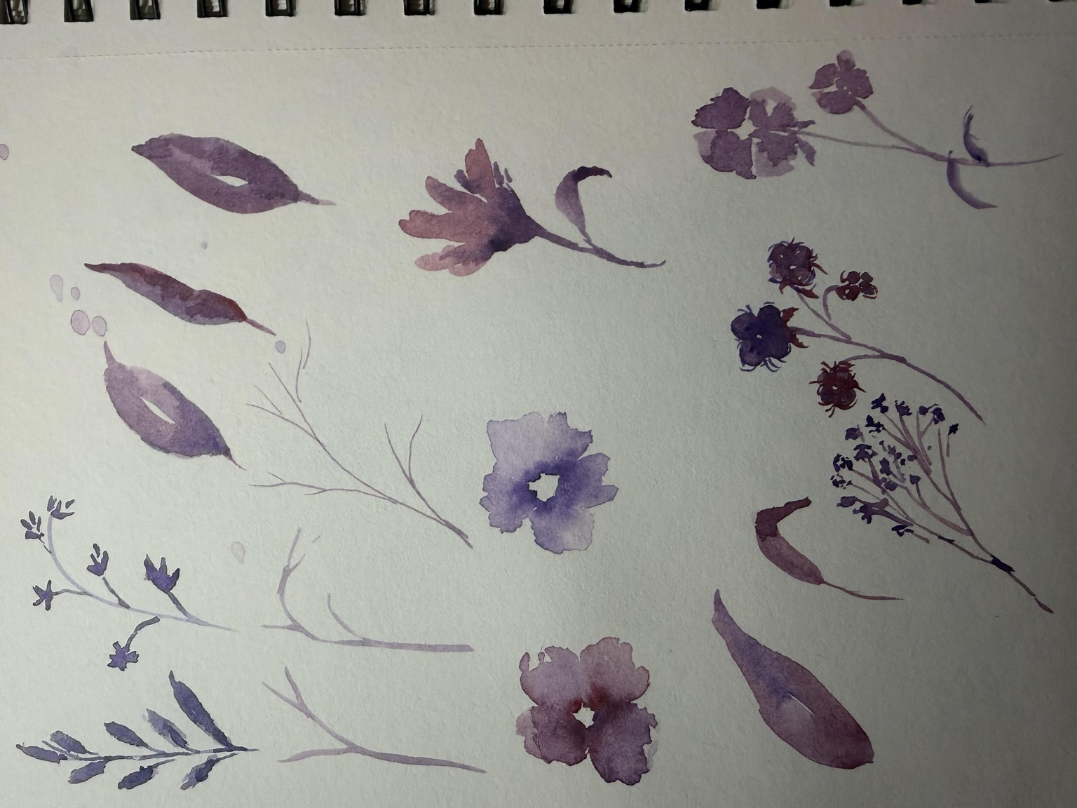 Digitize Watercolor - image 4 - student project