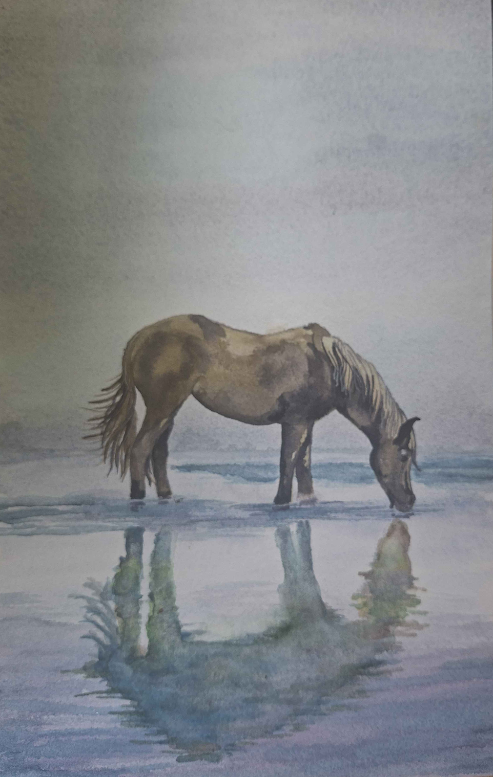 Beachhorse (3) - image 1 - student project