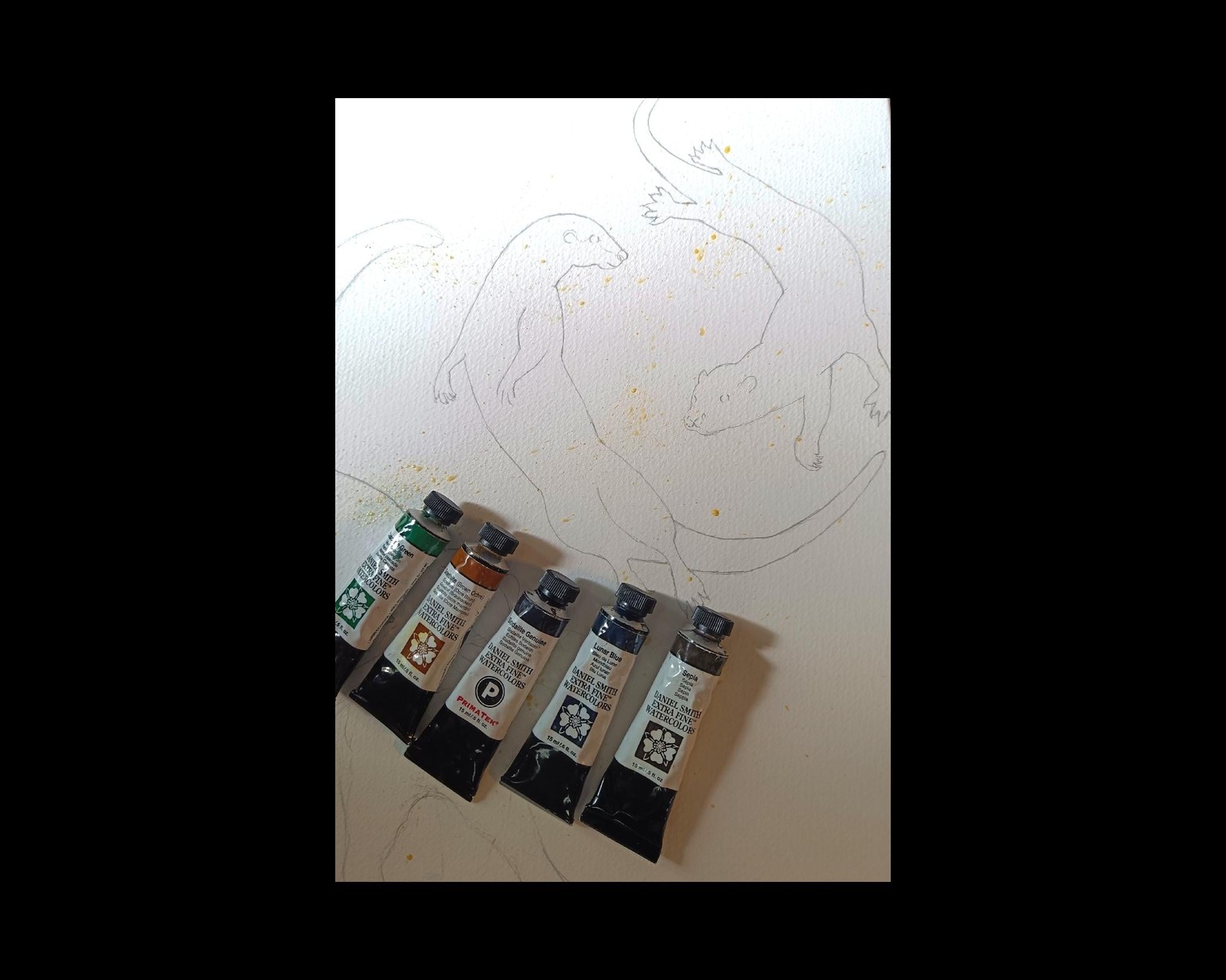 One Otter + ? + ? - image 2 - student project