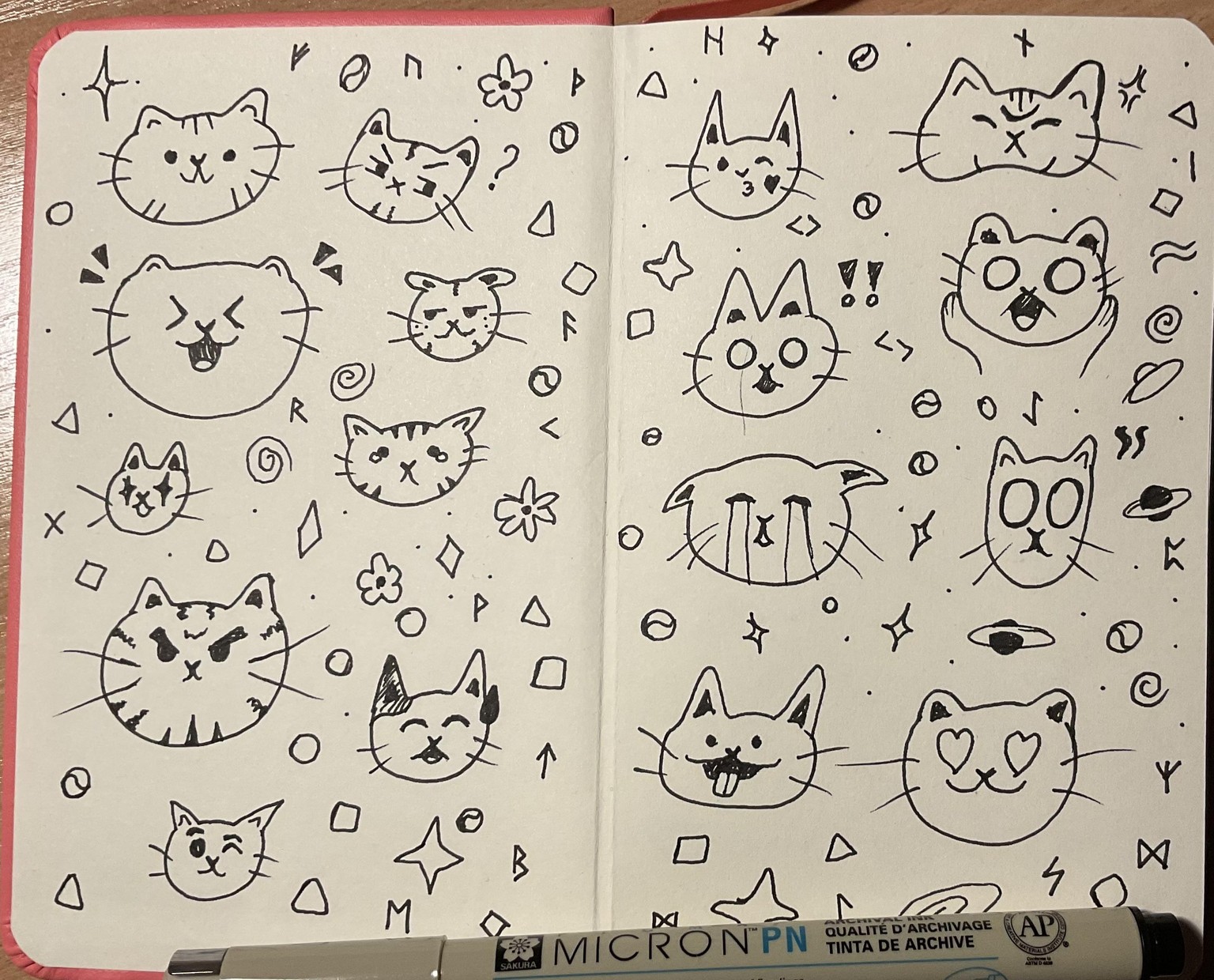 Project for the course “Sketching cats” - image 3 - student project