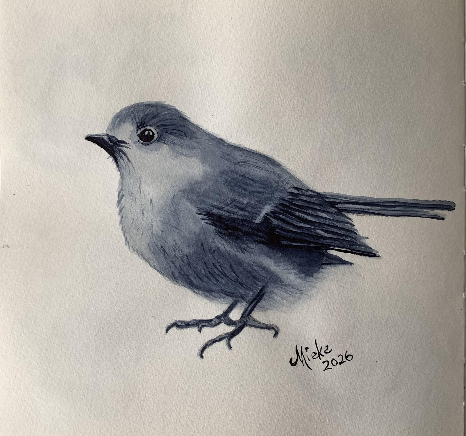 Watercolour birds - wet on wet - image 2 - student project